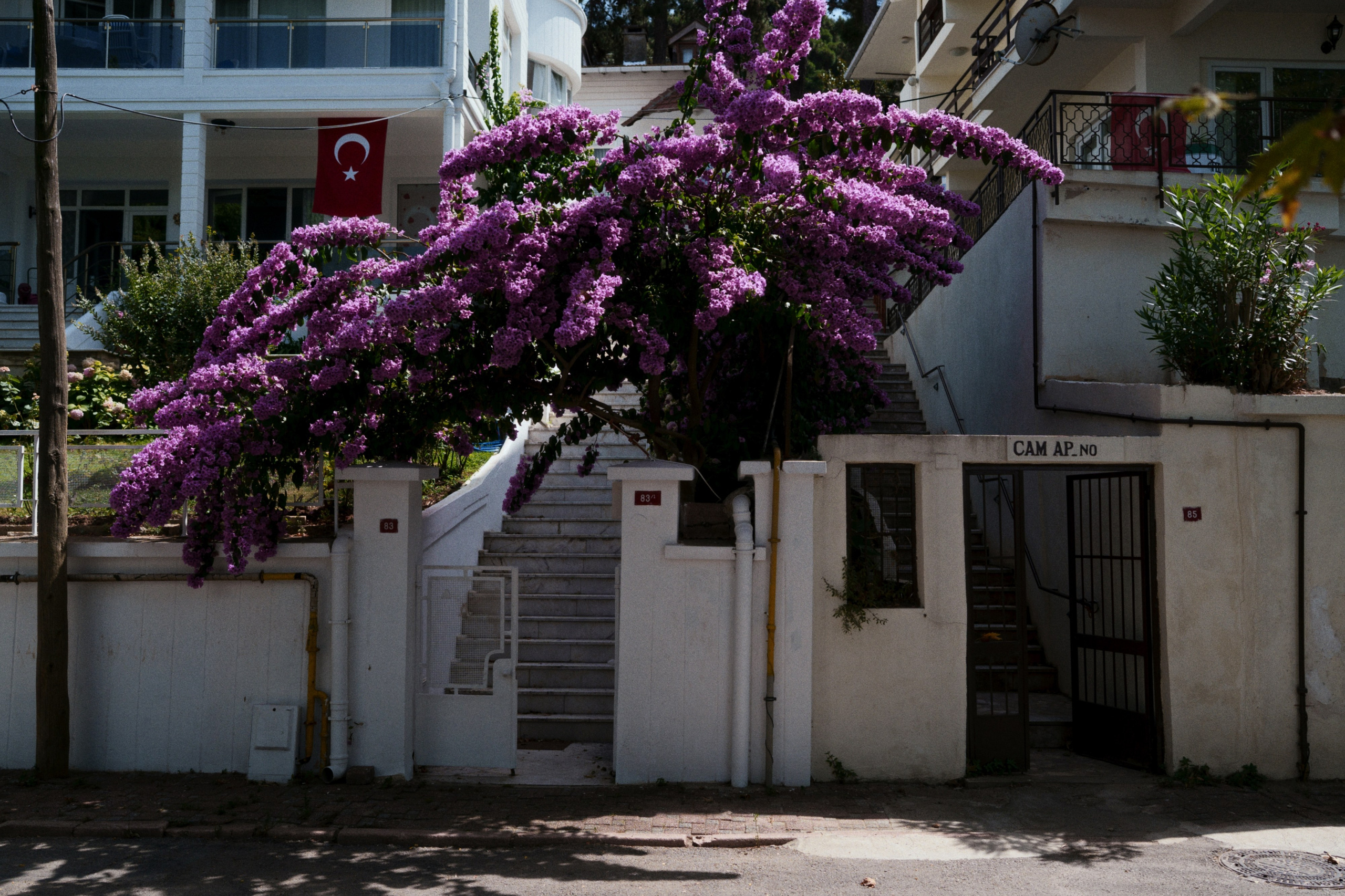 Büyükada х Heybeliada, Istanbul / Türkey SS25. Фотограф Юрин Евгений