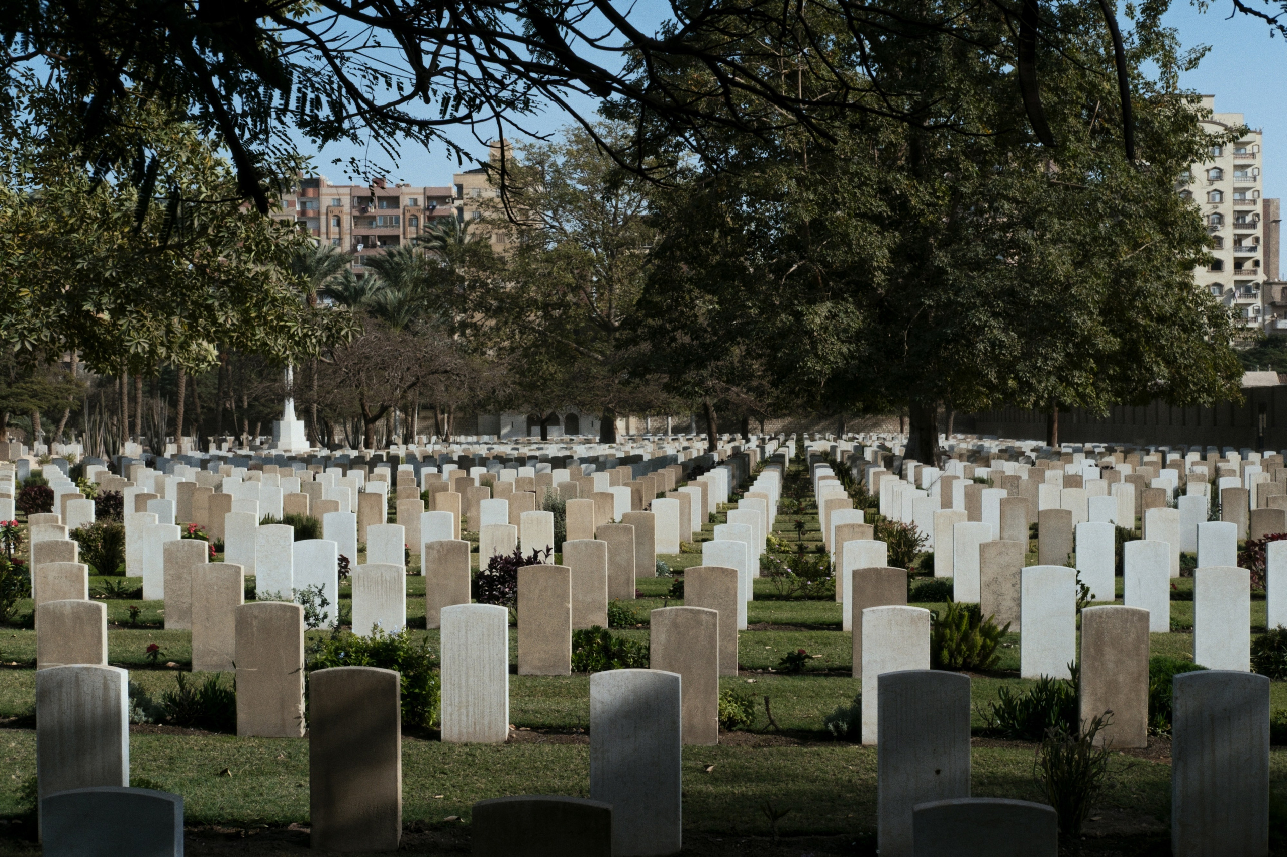 War Memorial Cemetery / Cairo, Egypt AW25. Фотограф Юрин Евгений