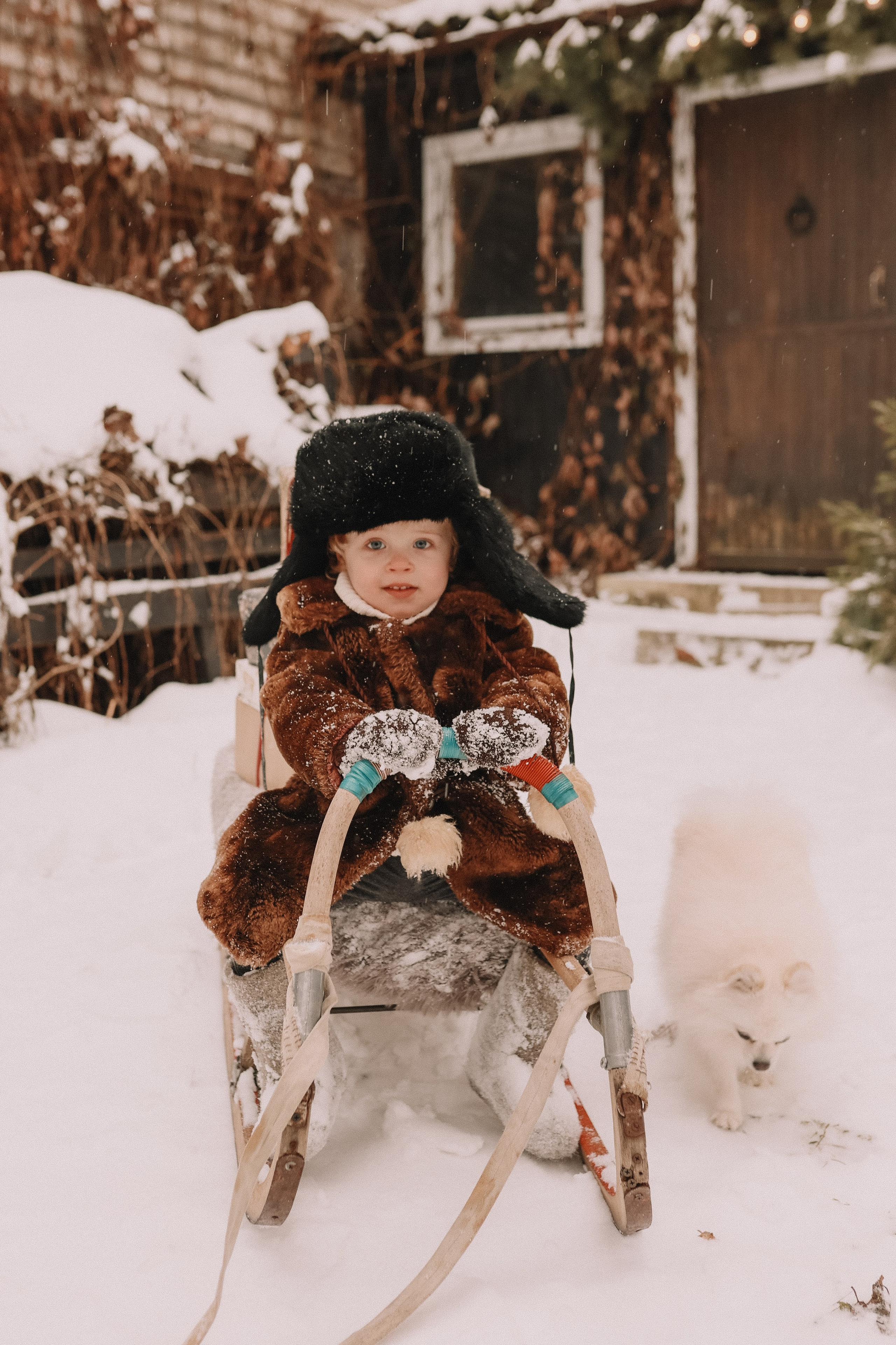 Зимняя сказка. Елена Гореликова фотограф в Москве
