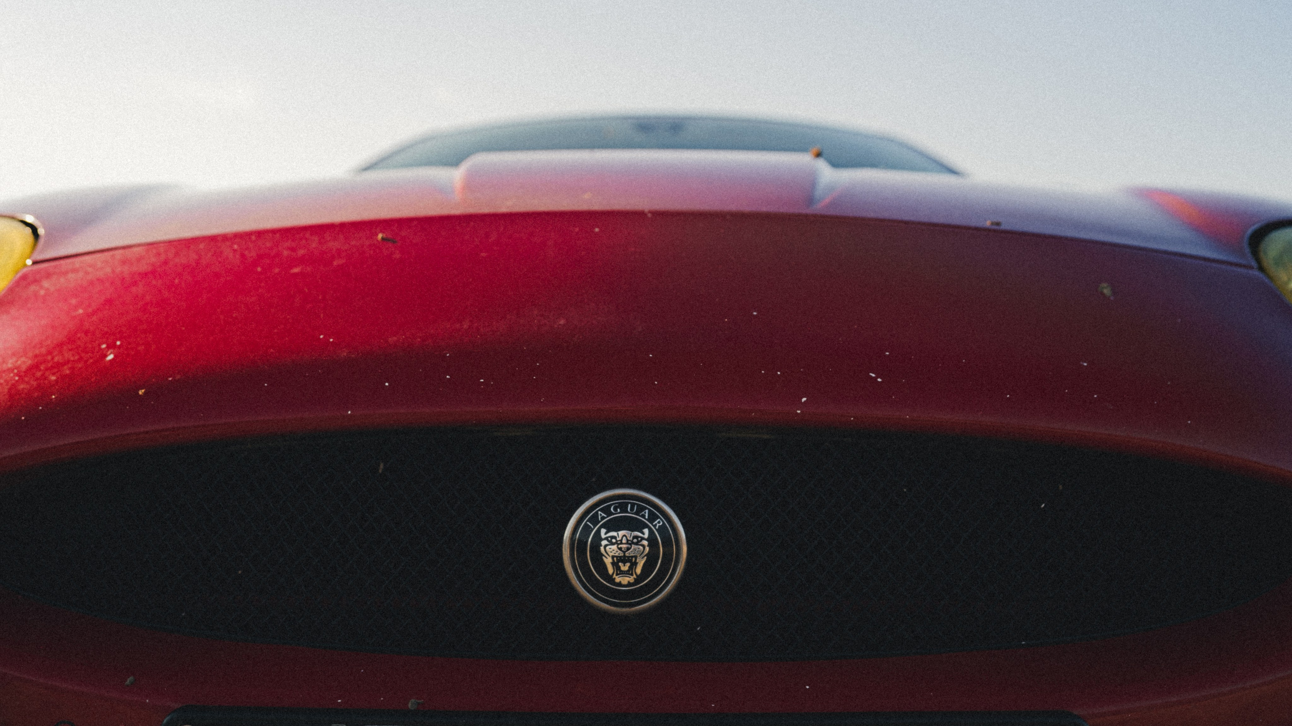 Автомобильная фотосессия Jaguar XK + портрет владельца. Фотограф Илья К. в Москве