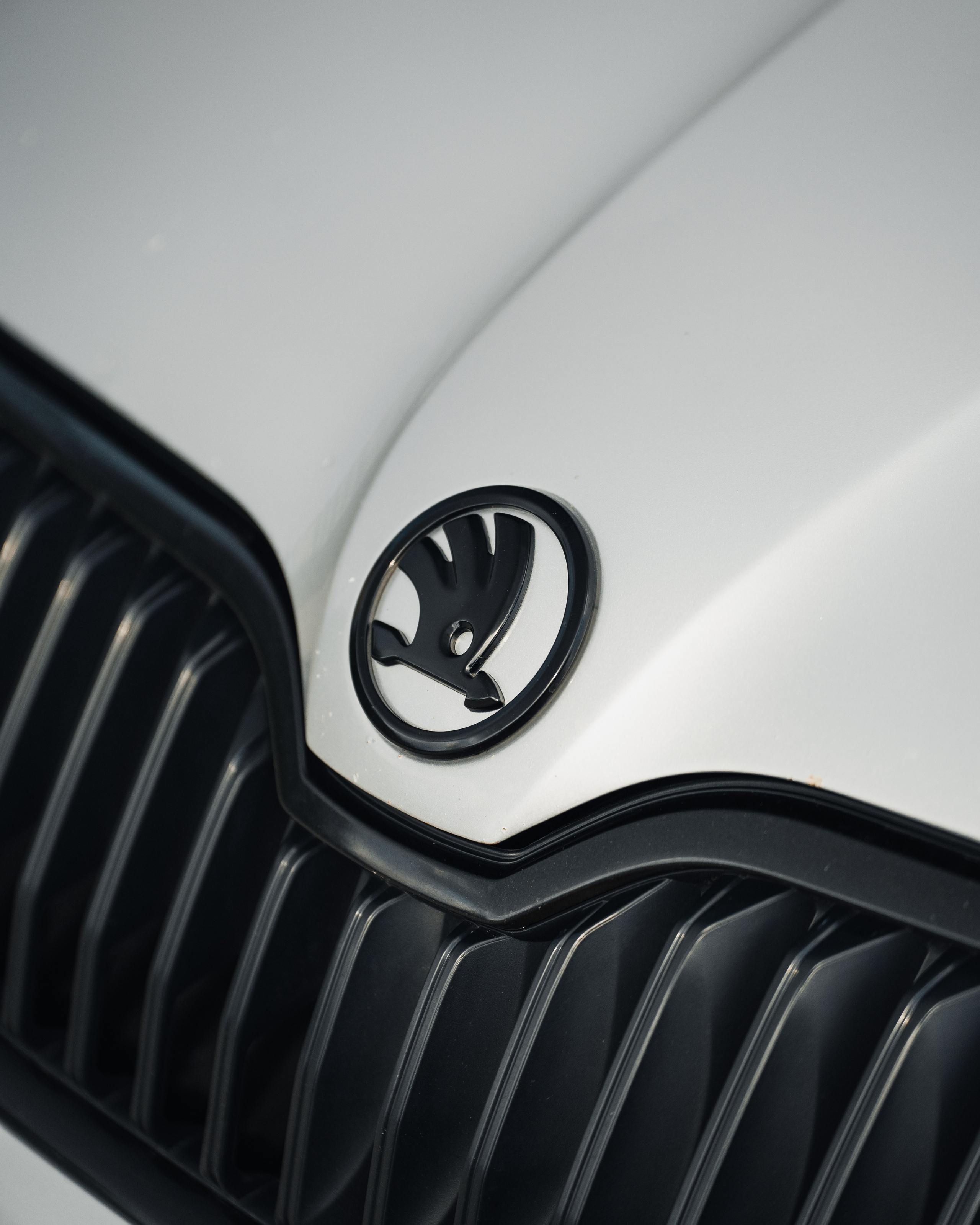 Skoda Octavia A7 VRS v3.0. Vlad Trykov