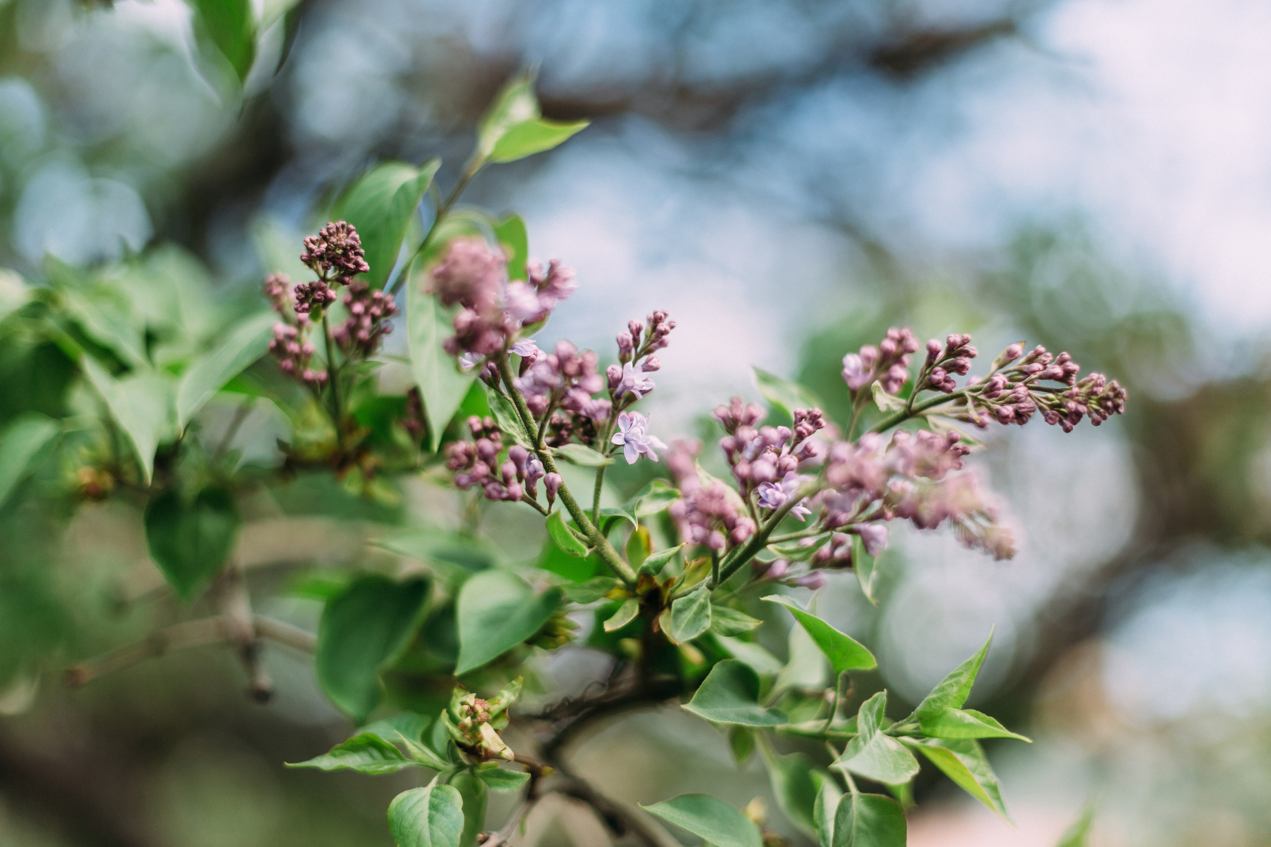 Настя. Coach & photographer Anna Sushkova | Valencia, Spain