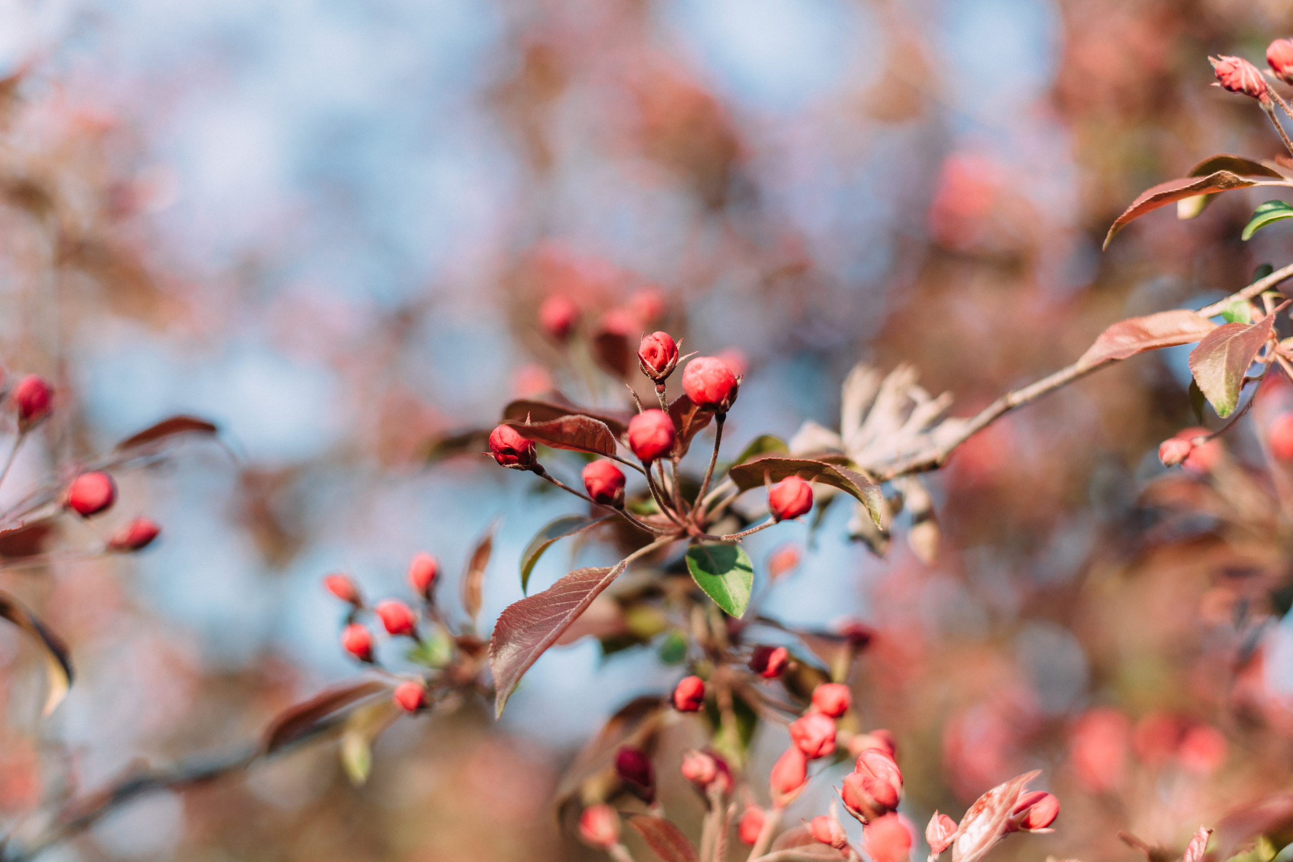 Настя. Coach & photographer Anna Sushkova | Valencia, Spain