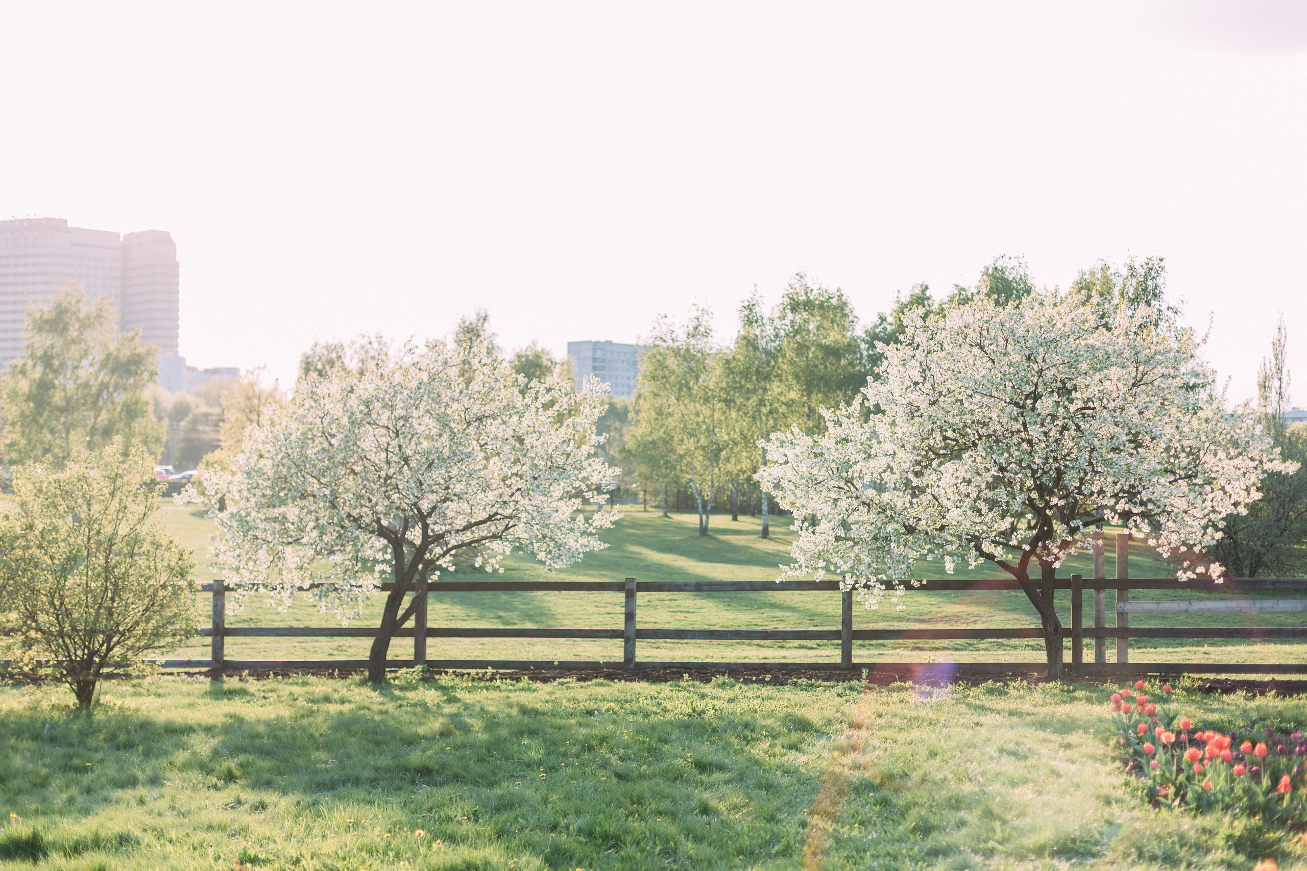 Настя. Coach & photographer Anna Sushkova | Valencia, Spain