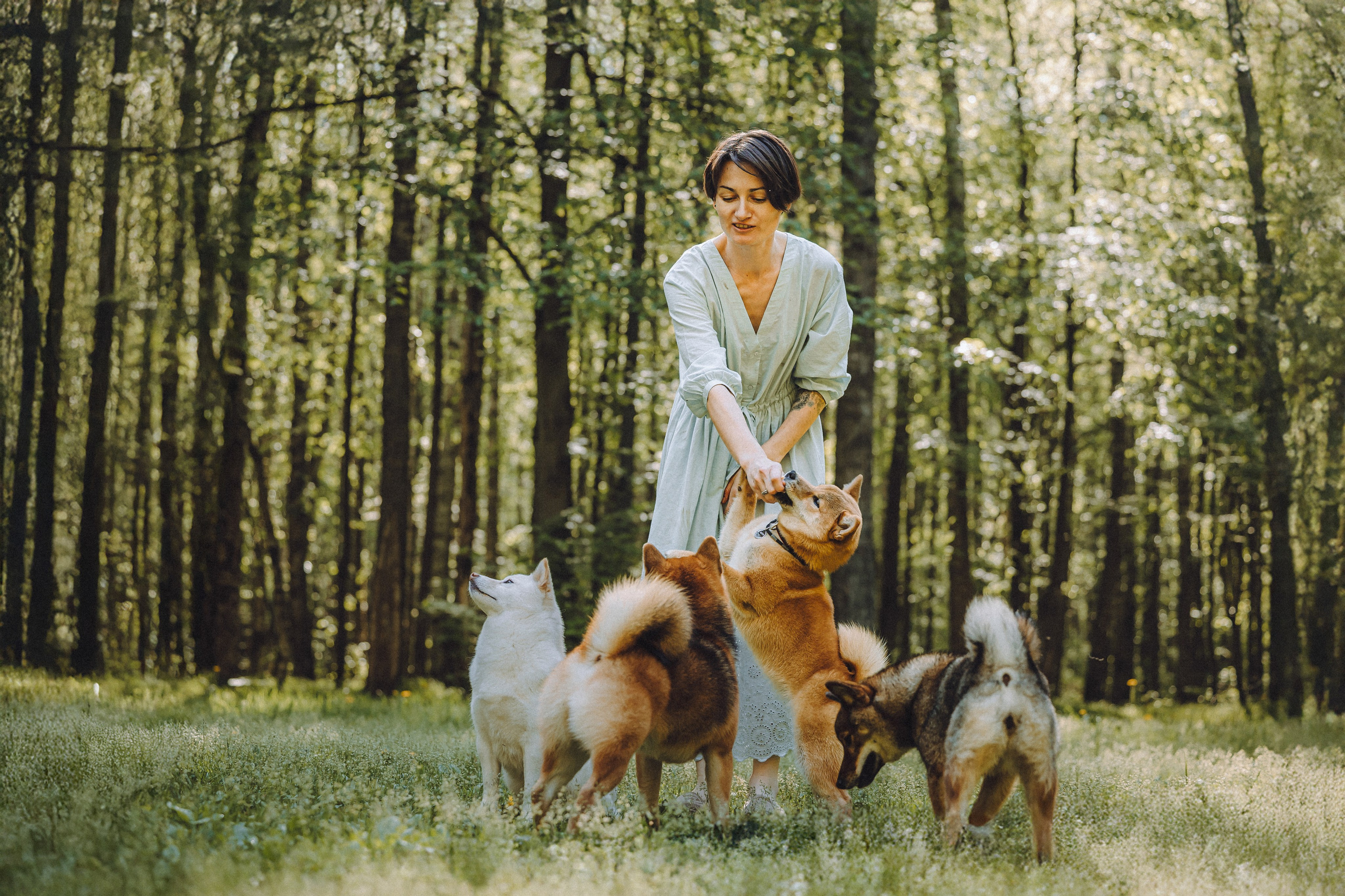 Шед, Цири, Чиби, Цера и их семья