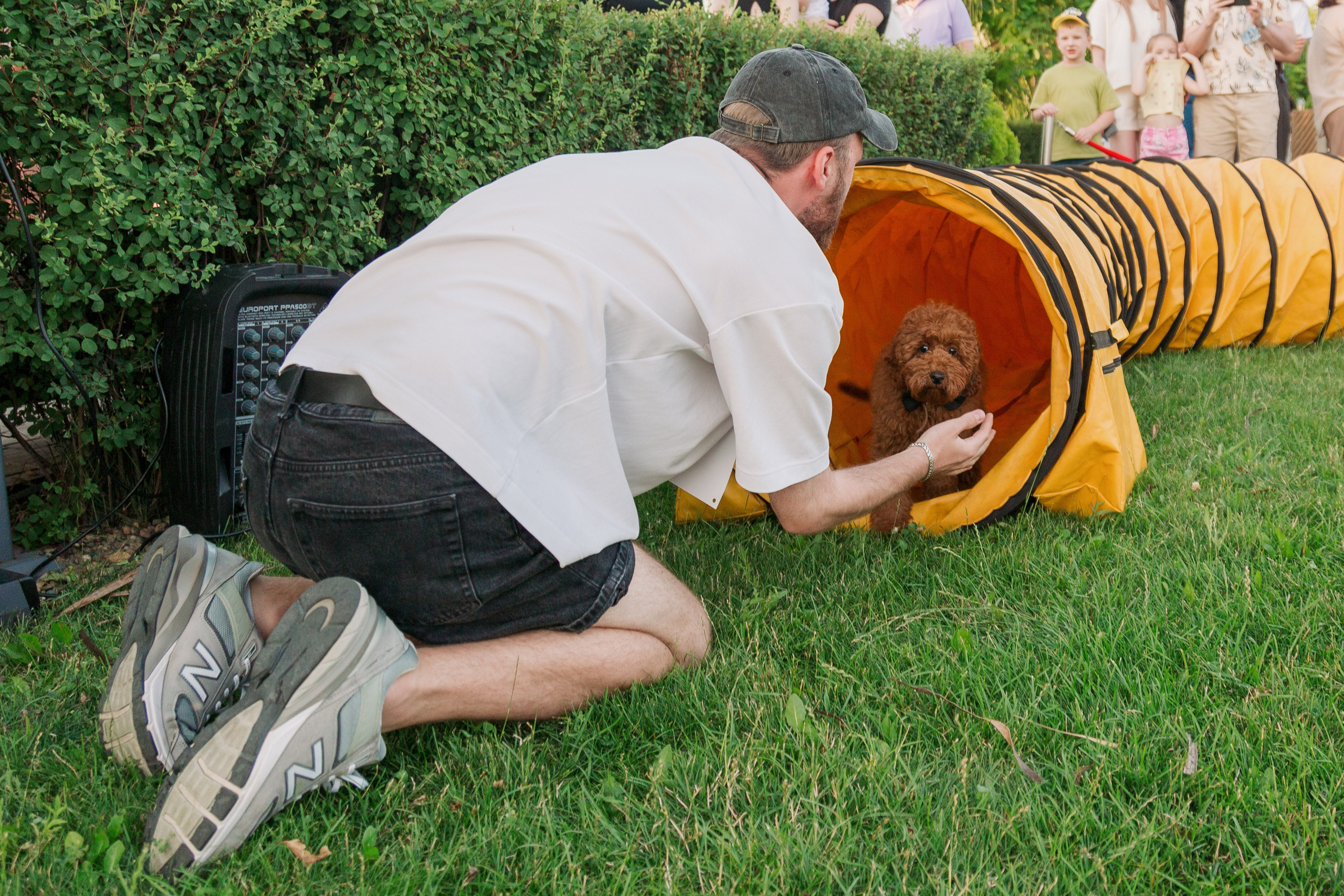 Dog Fest 2024. Главная