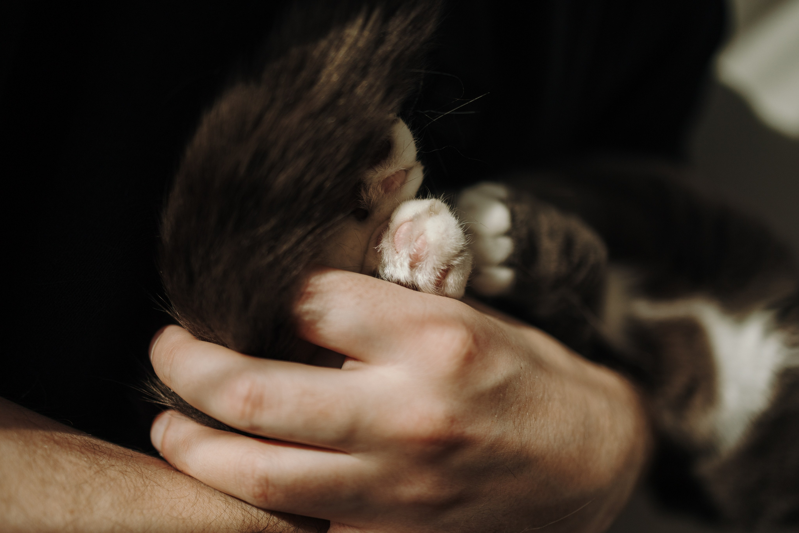 Таня и ее семья. Фотограф — Анималист | Санкт-Петербург