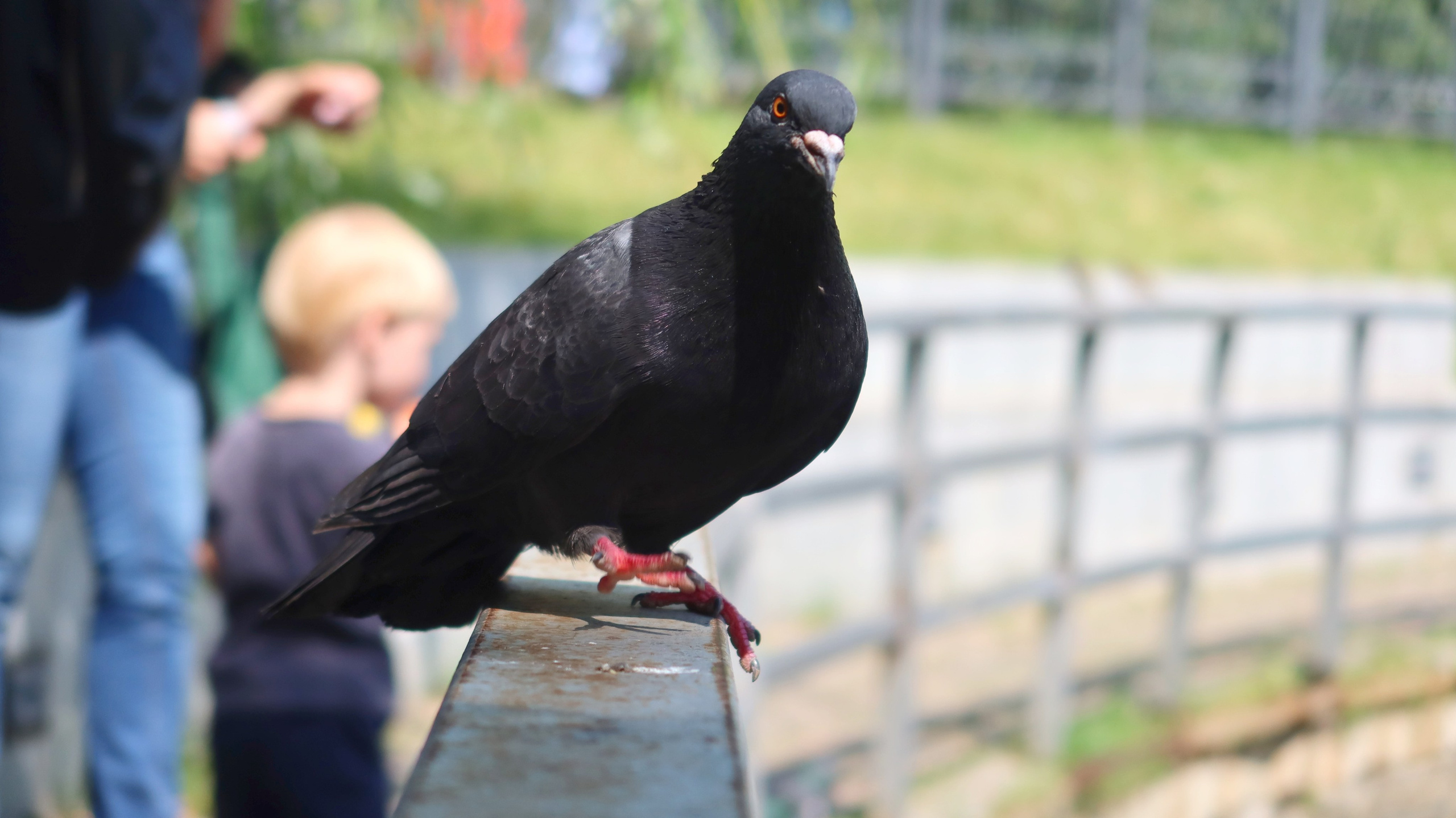 Антроповский сквер. Улица, люди, жизнь…