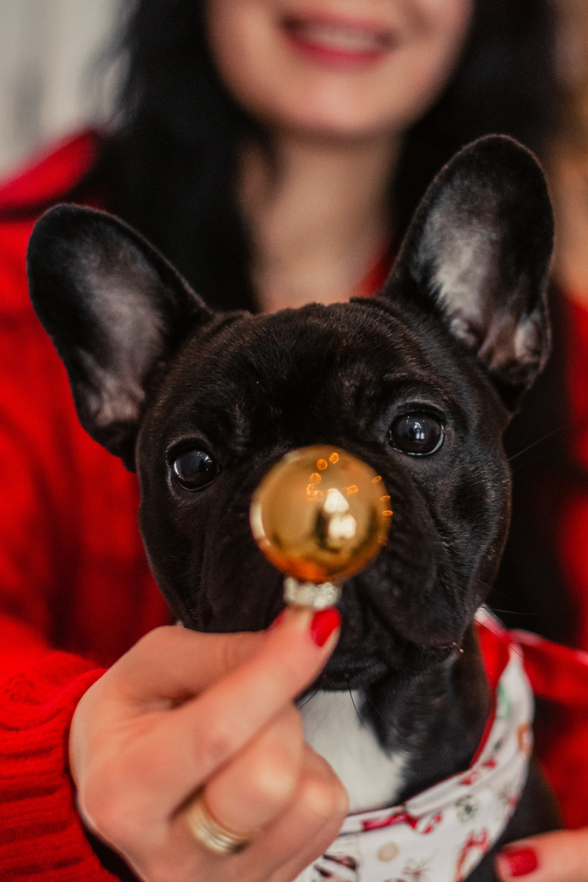 Кантри Хаус. Фотограф-анималист Татьяна Степанова