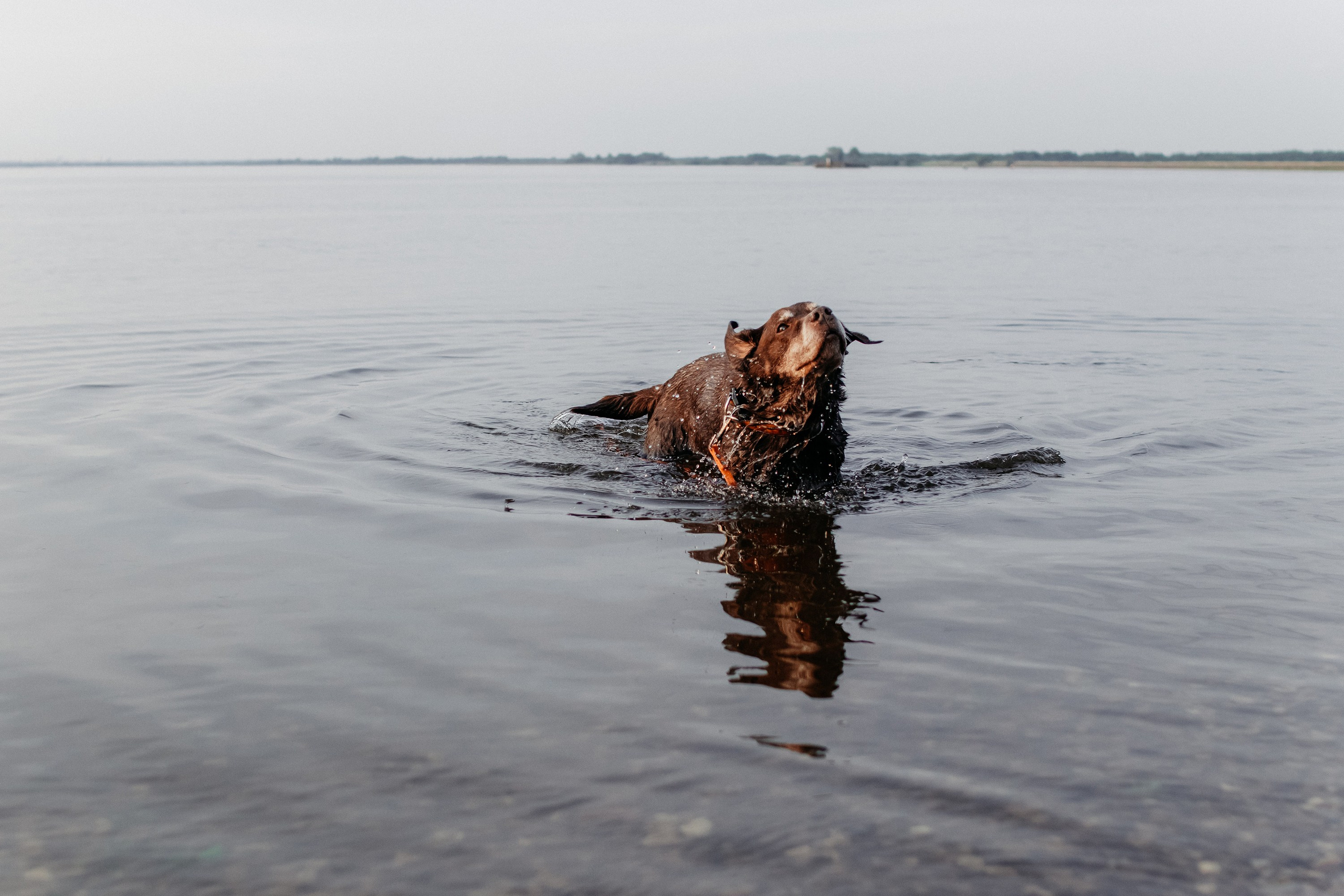 Юля и Свити. Фотограф Наталья Потапова