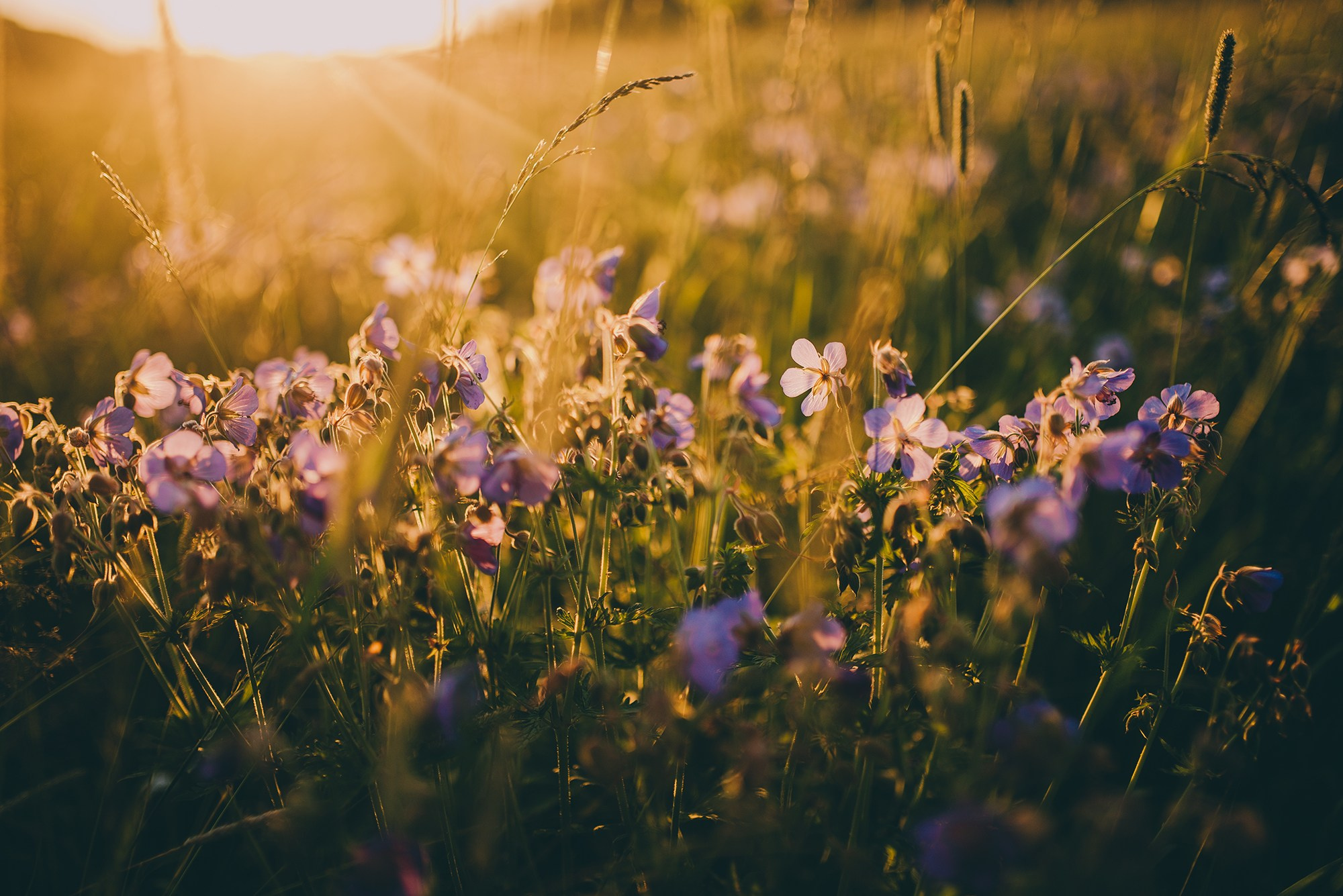 COMMERCIAL. Анна Ульянова