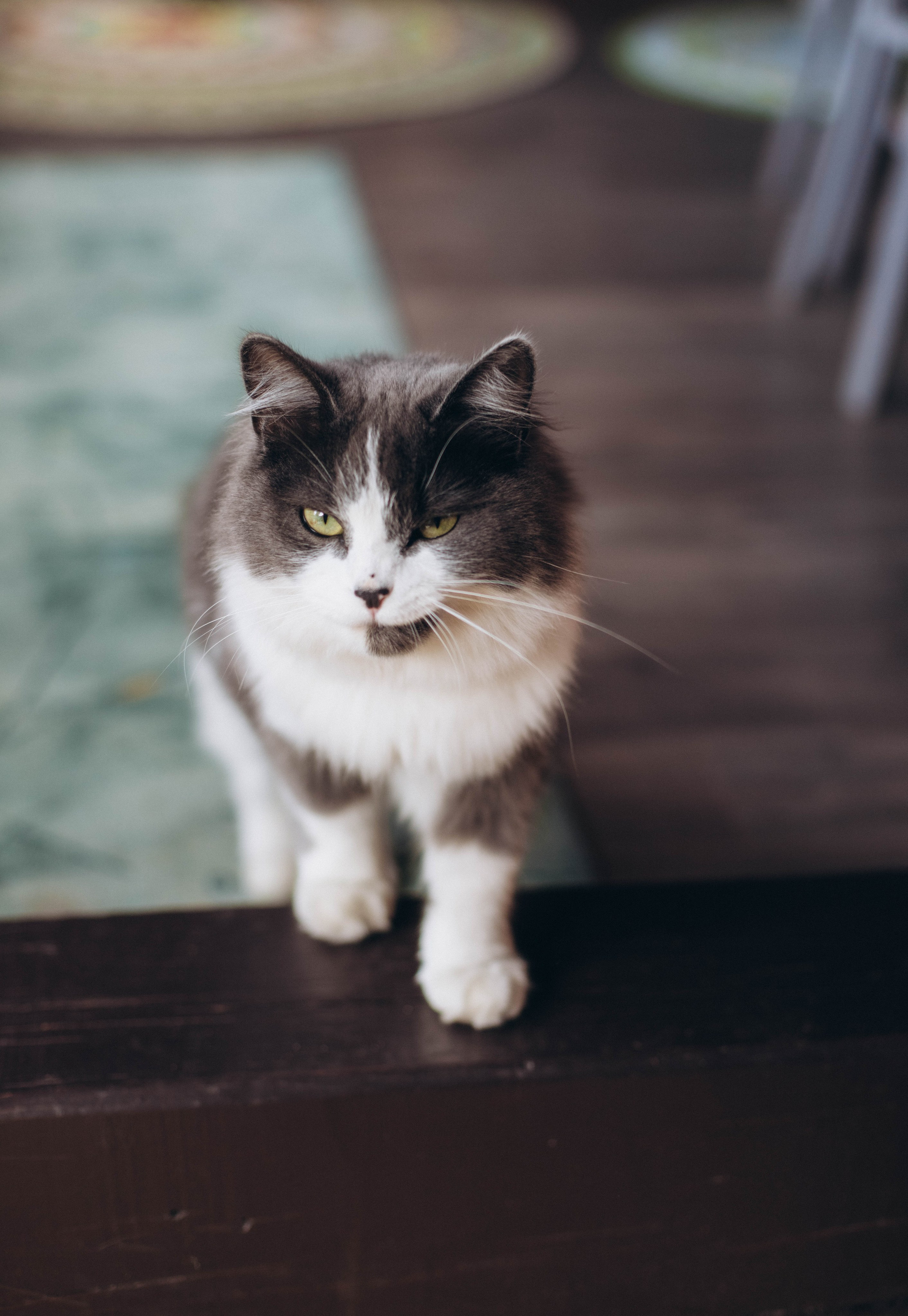 Андрею 1 годик. Фотограф Наталья Кургина Слюдянка Иркутск