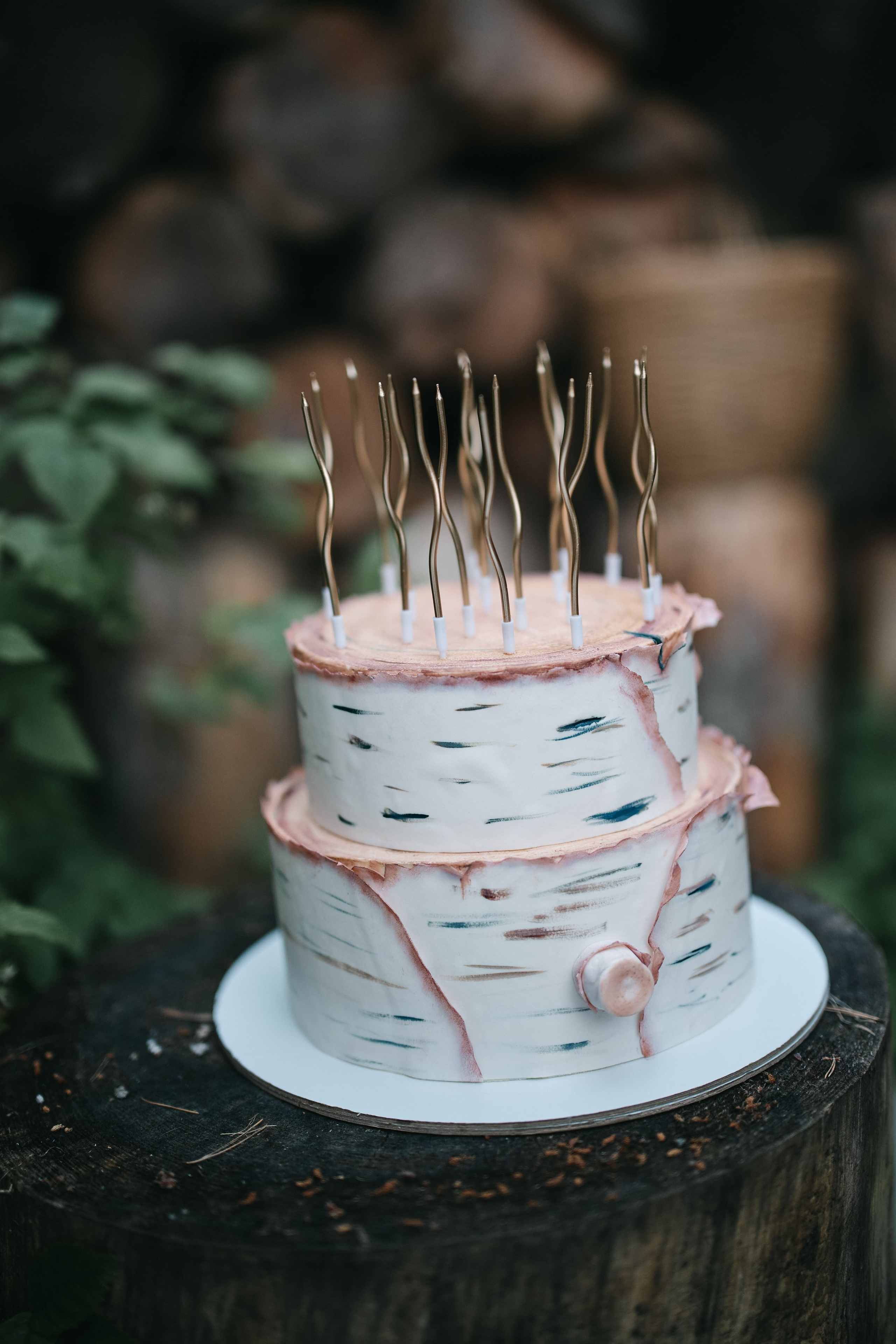 День Рождения Алины. Свадебный фотограф Сергей Фарковец