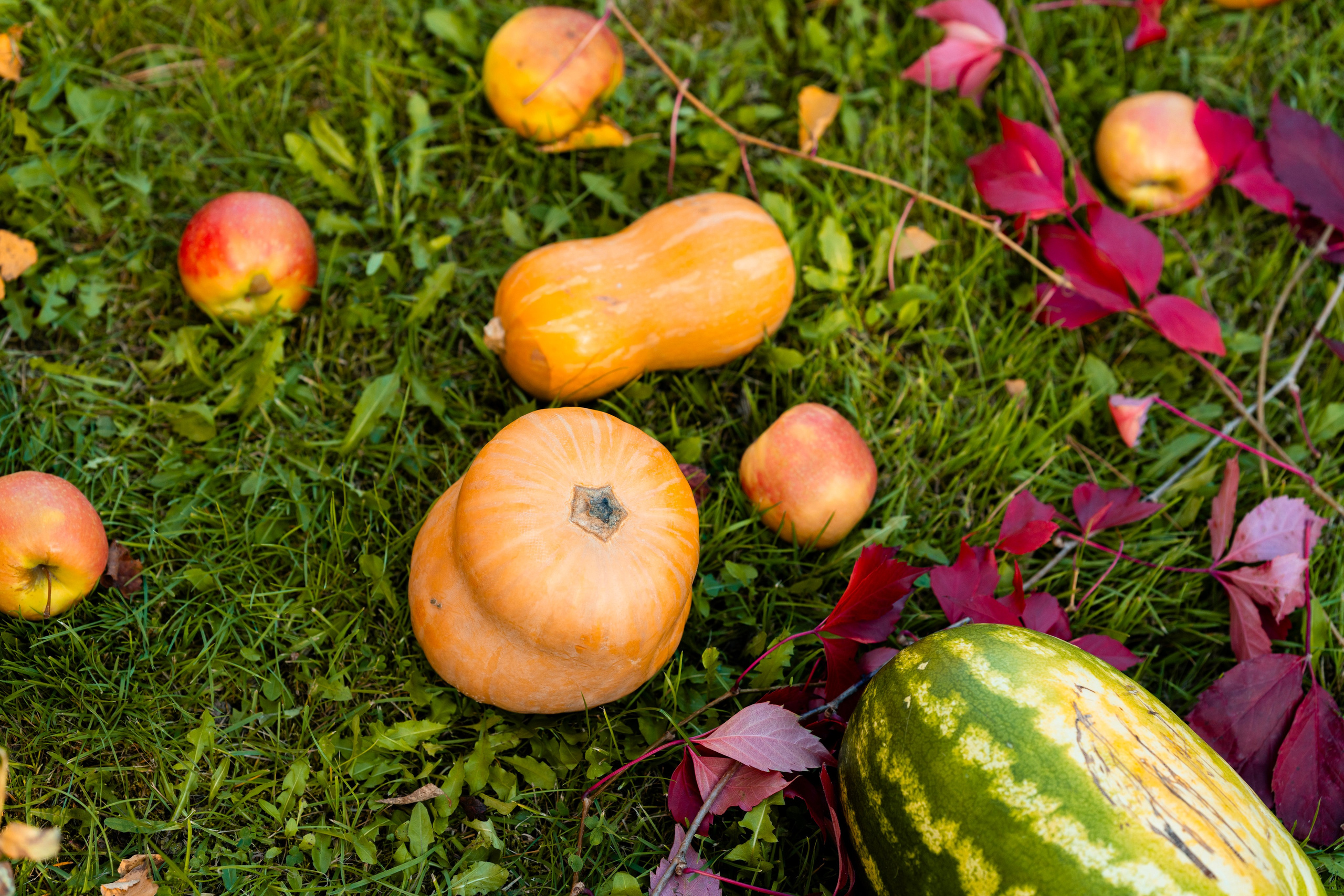 Осень 2. Фотограф Юлия Попова