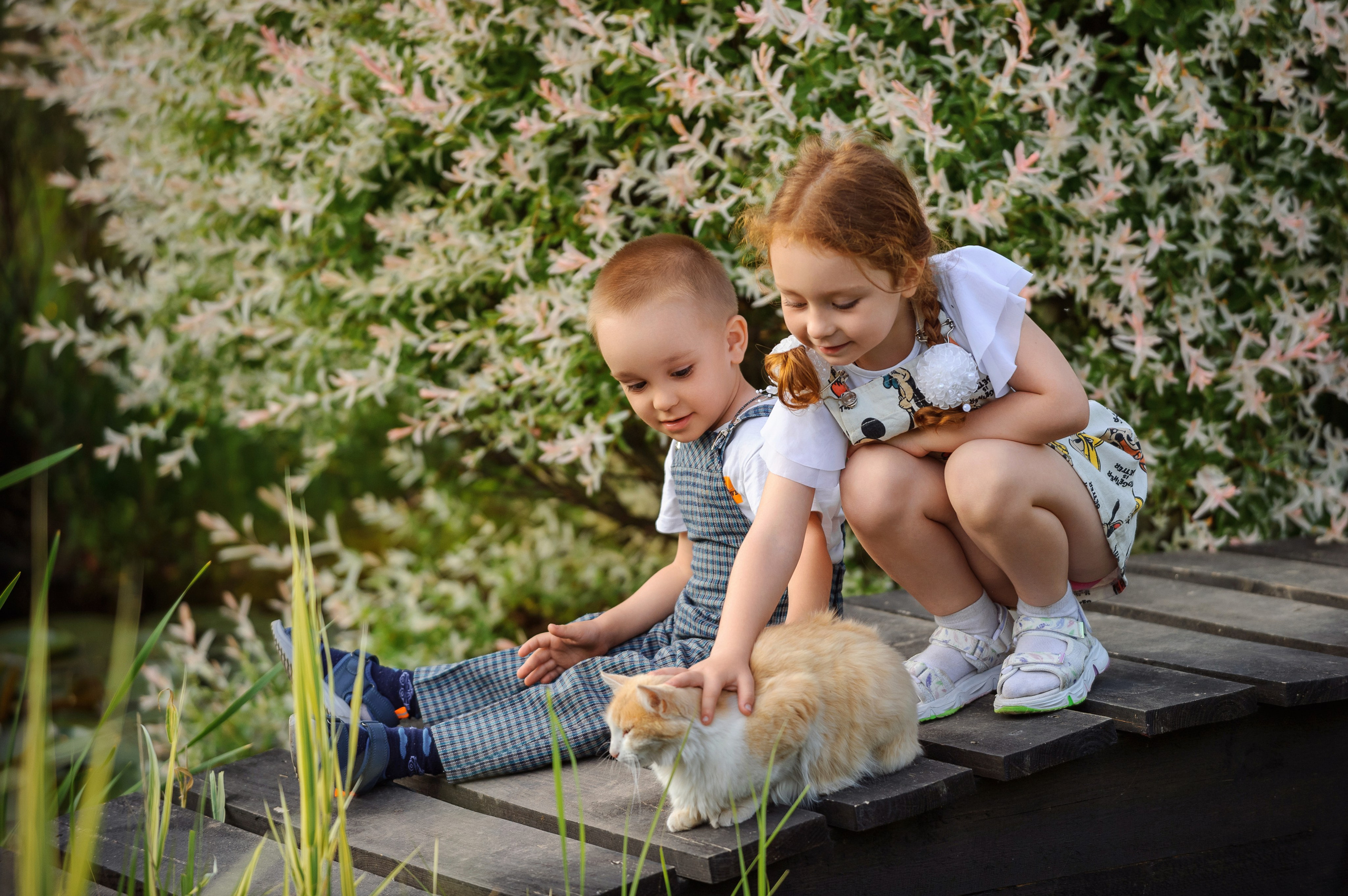Семейная съёмка. Свадебный и семейный фотограф в Курске Андрей Изотов