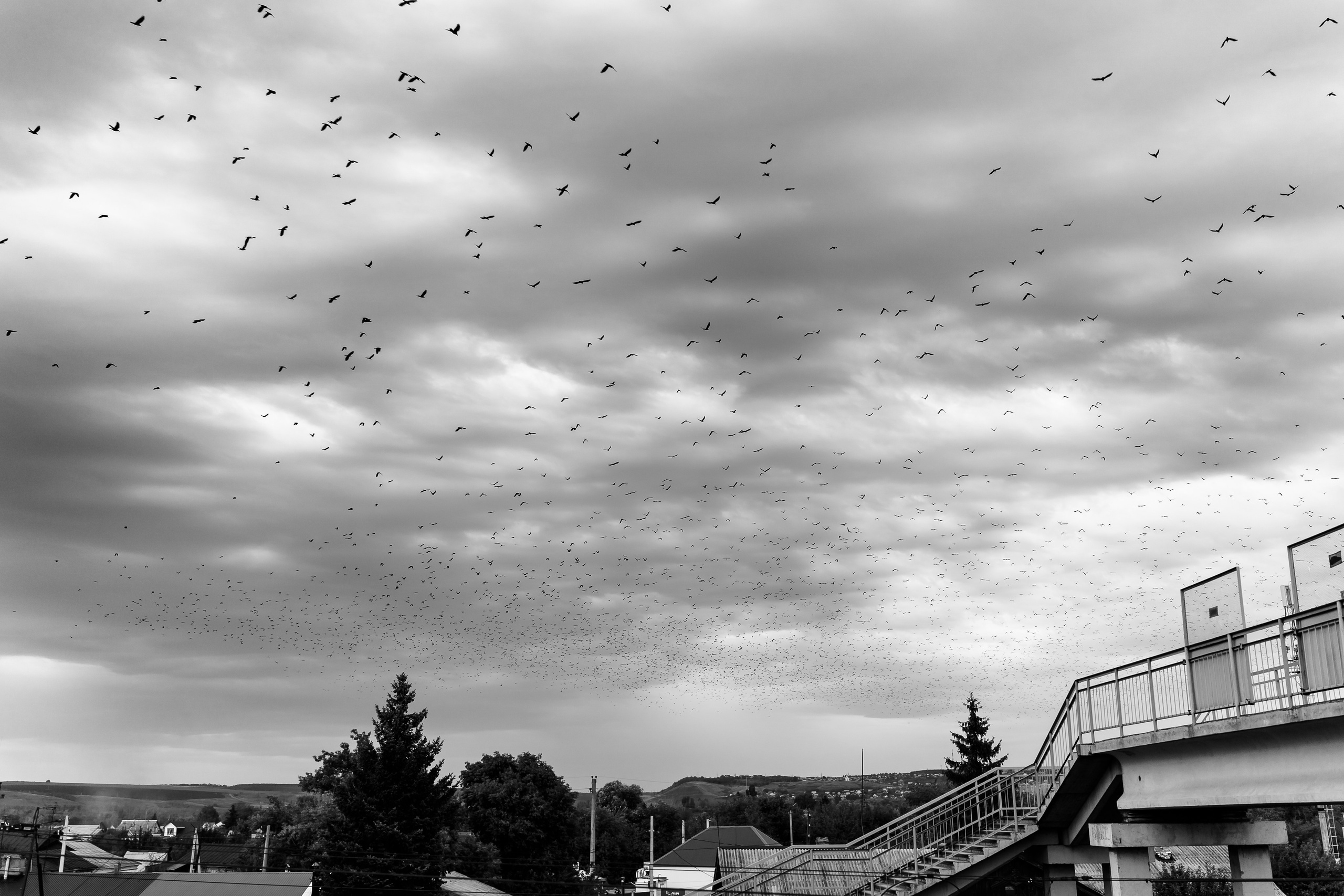 Надежда. Семейный и свадебный фотограф в Бугуруслане Екатерина Ронжина