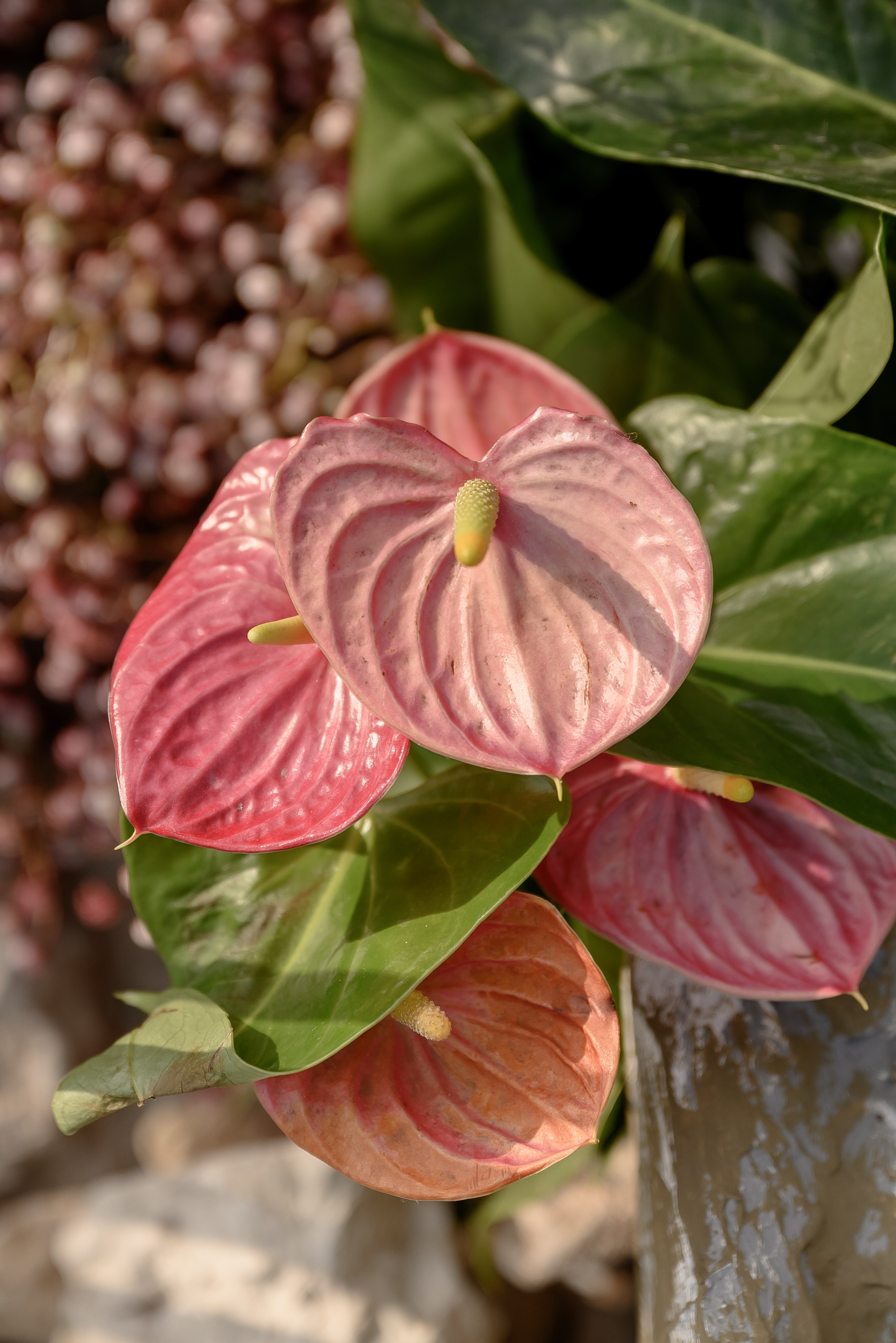 Свадьба БАЛЕРИНЫ И ВОЕННОГО 11.08.23 Саша и Катя. Event-агентство «Бутик Событий» Евгении Гарновской