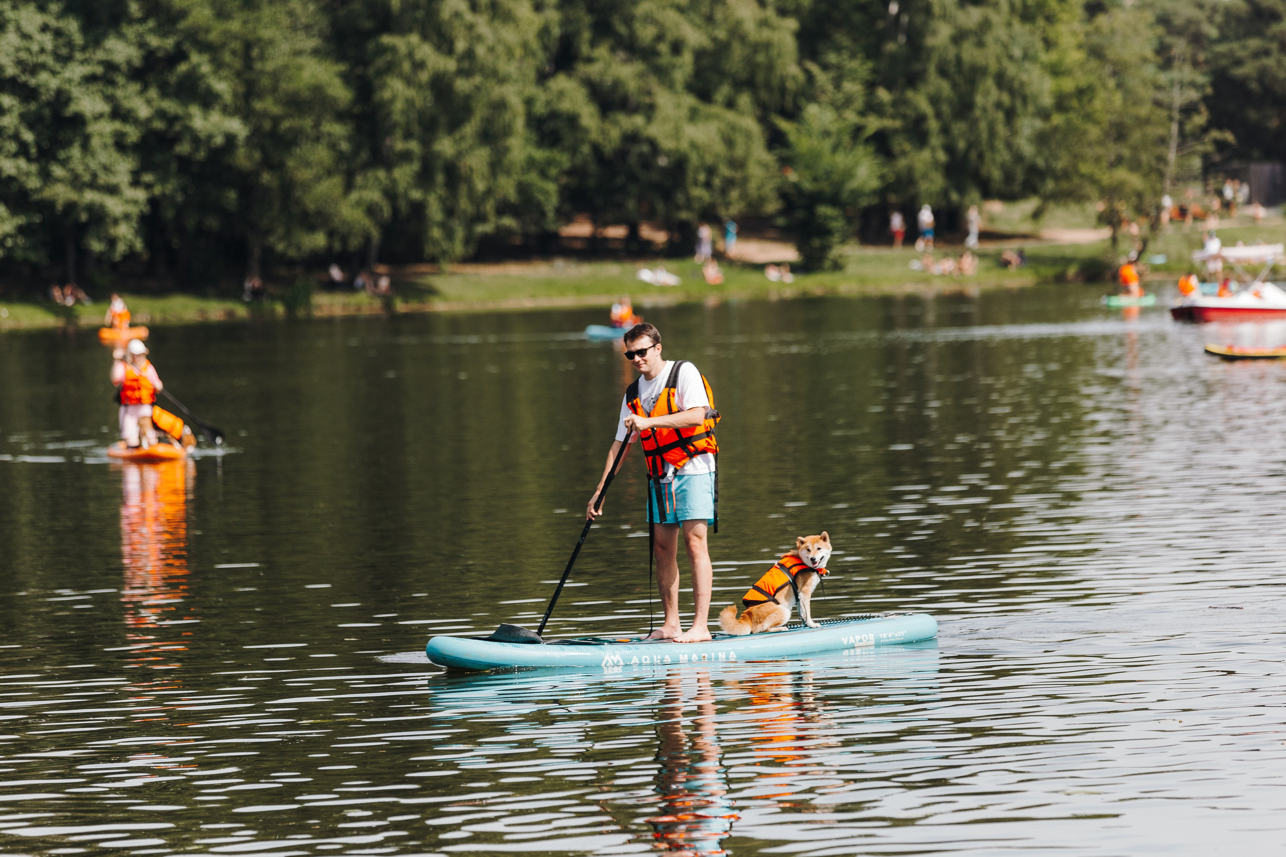 Petshop Sup day. Фотограф анималист Кристина Карпова, Москва