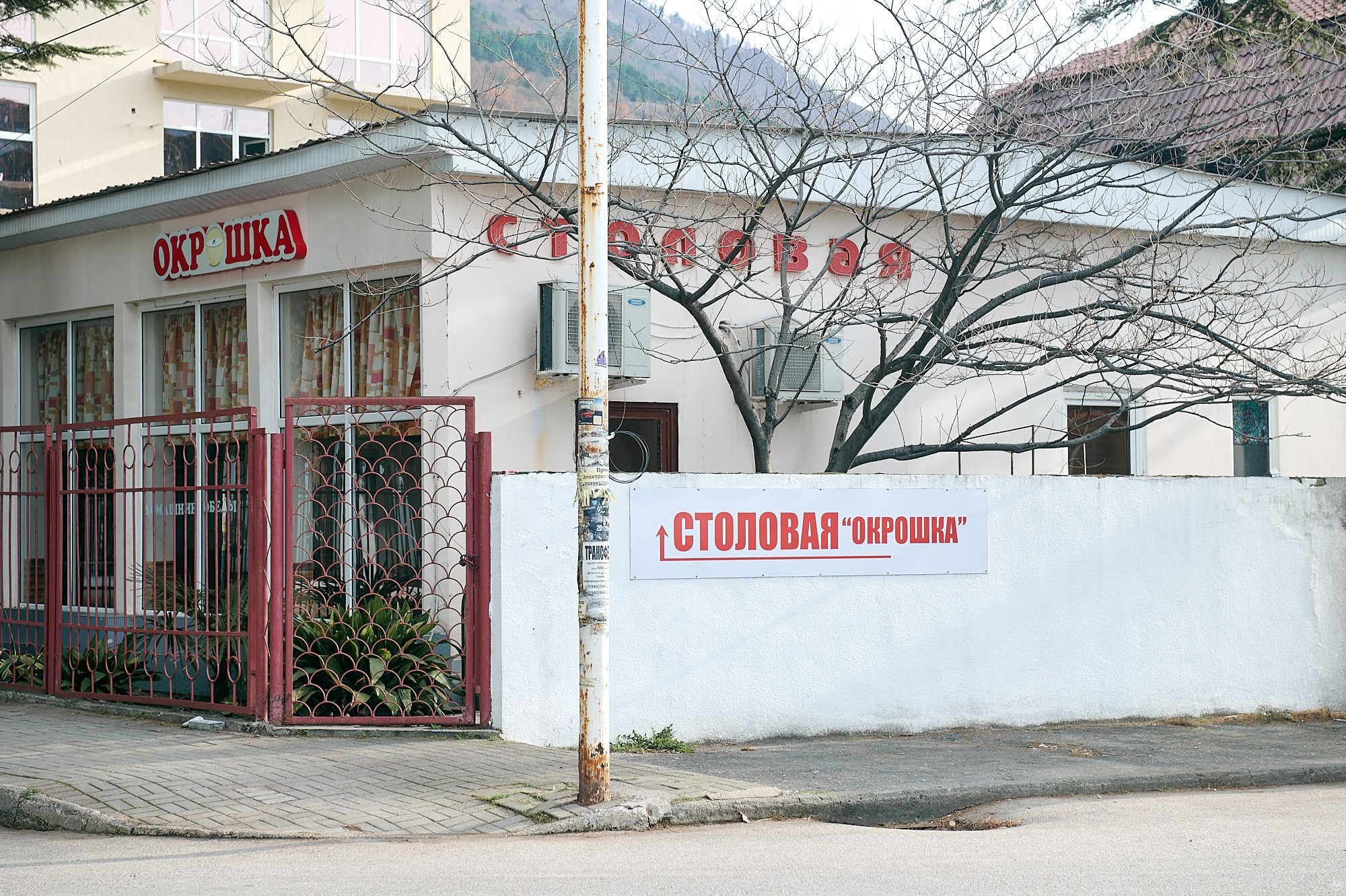 Гагра, Абхазия. Декабрь 2024. Фотографии отовсюду и обо всем