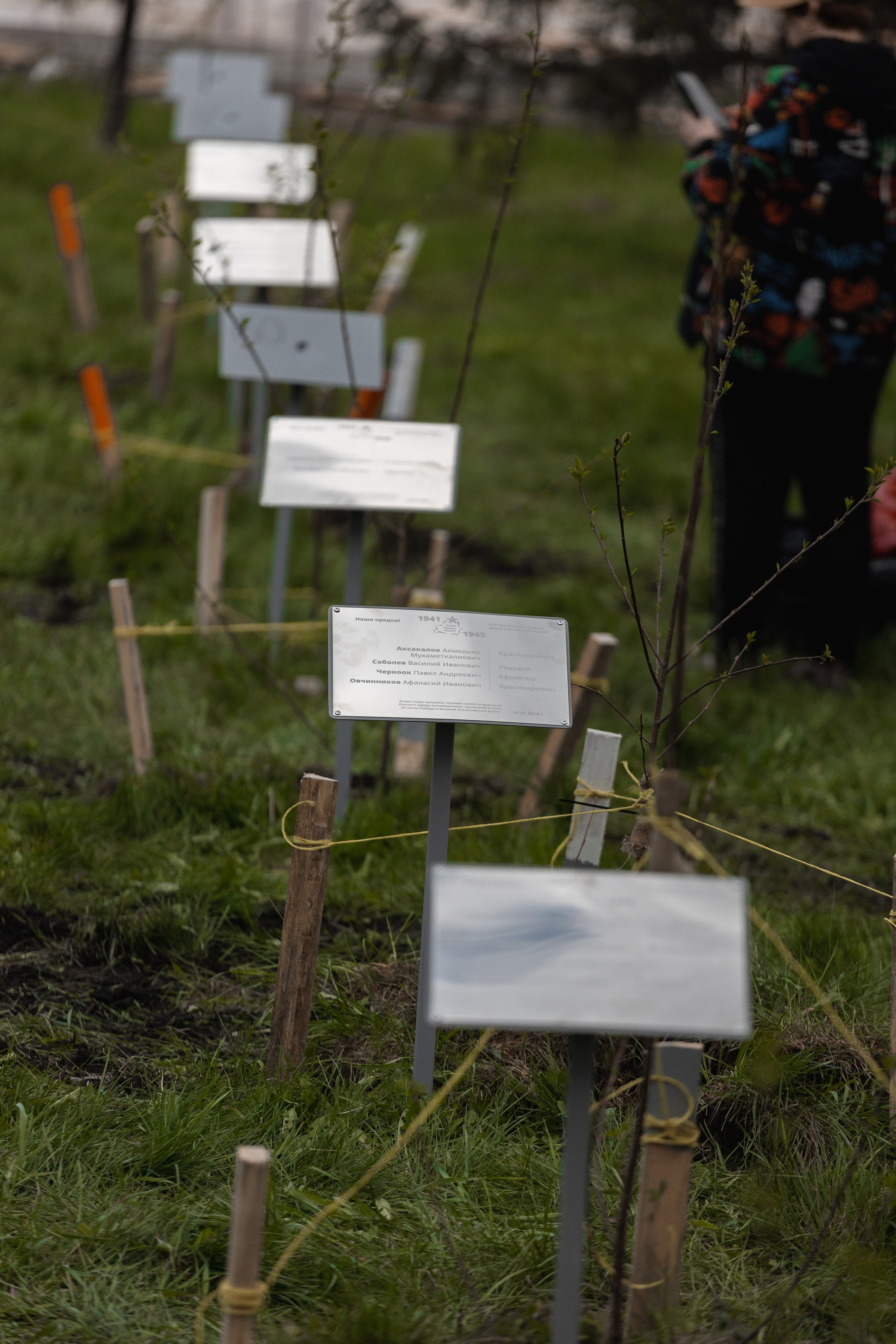 Профессиональный фотограф на выездные мероприятия и тимбилдинги Андрей Алексеев