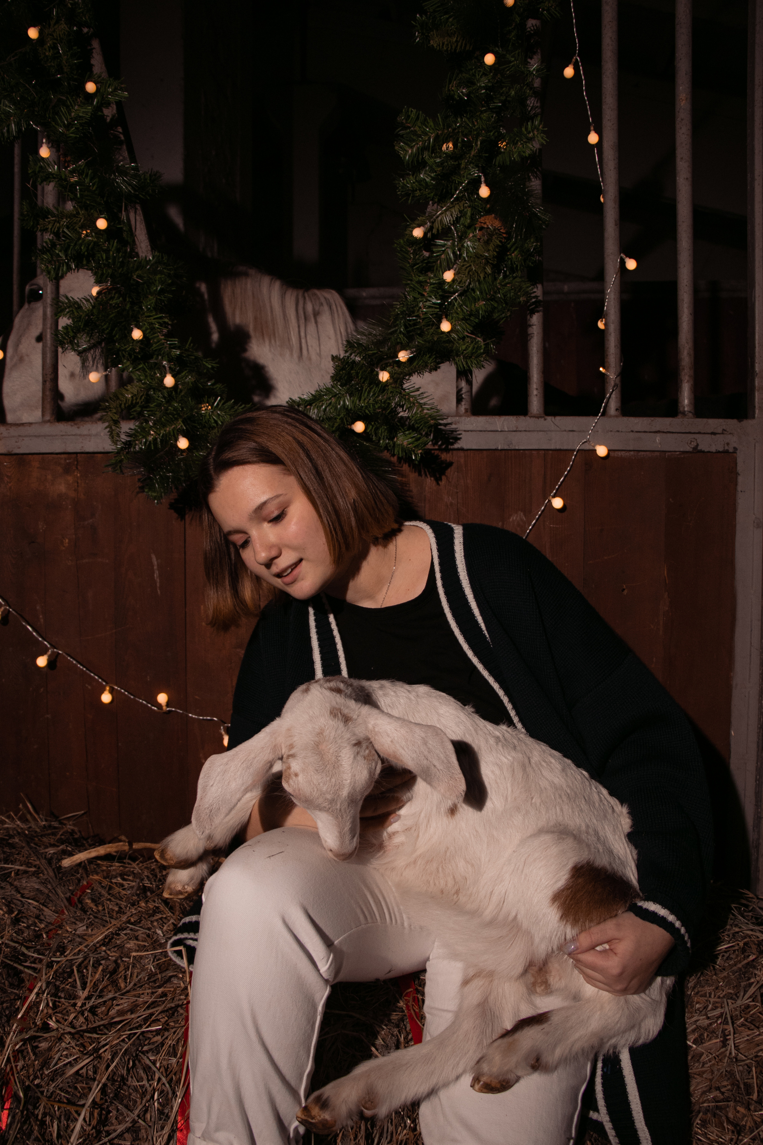 Новогодний Фотодень 2022. Фотосессии с лошадьми в Москве, Новосибирске