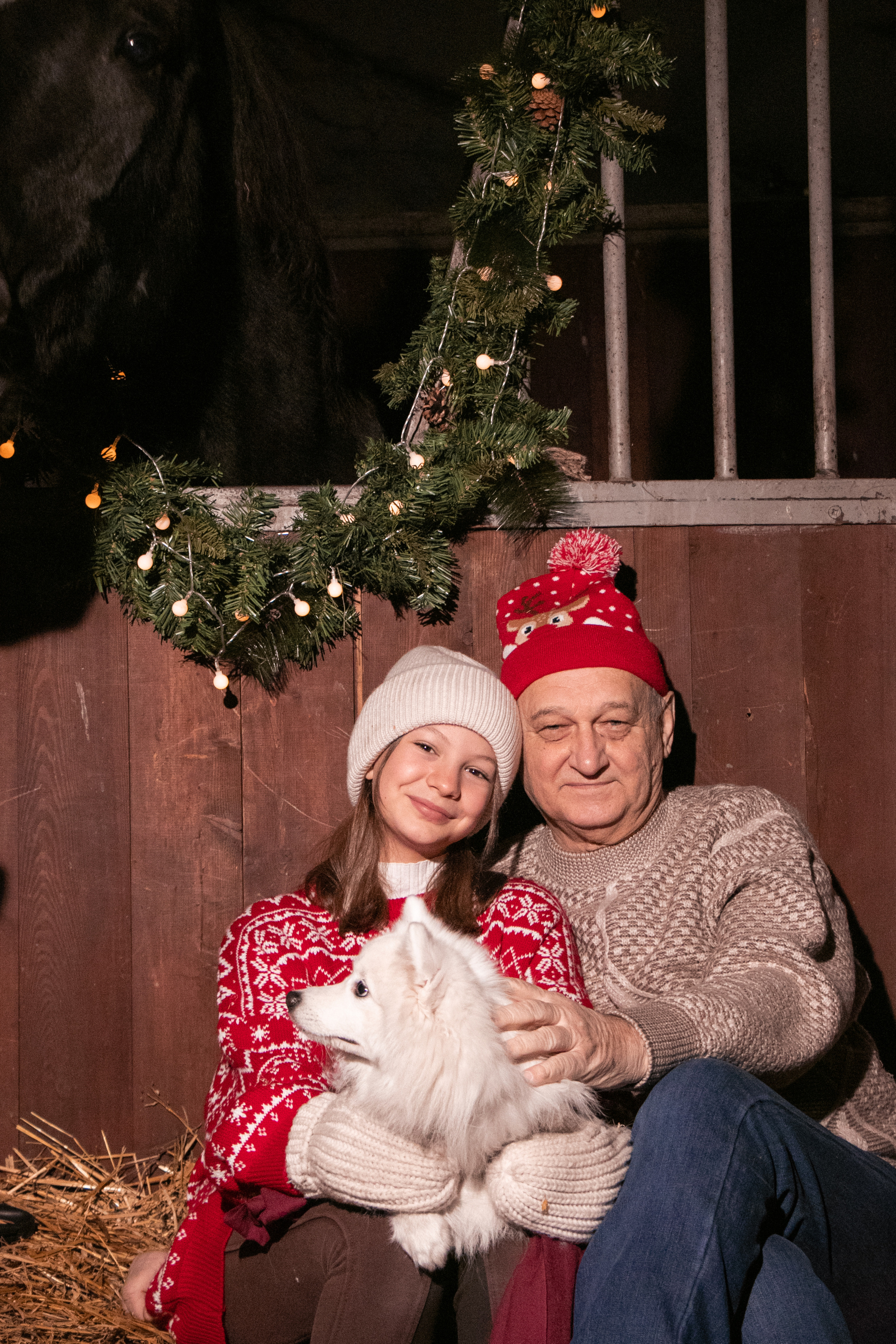 Новогодний Фотодень 2022. Фотосессии с лошадьми в Москве, Новосибирске