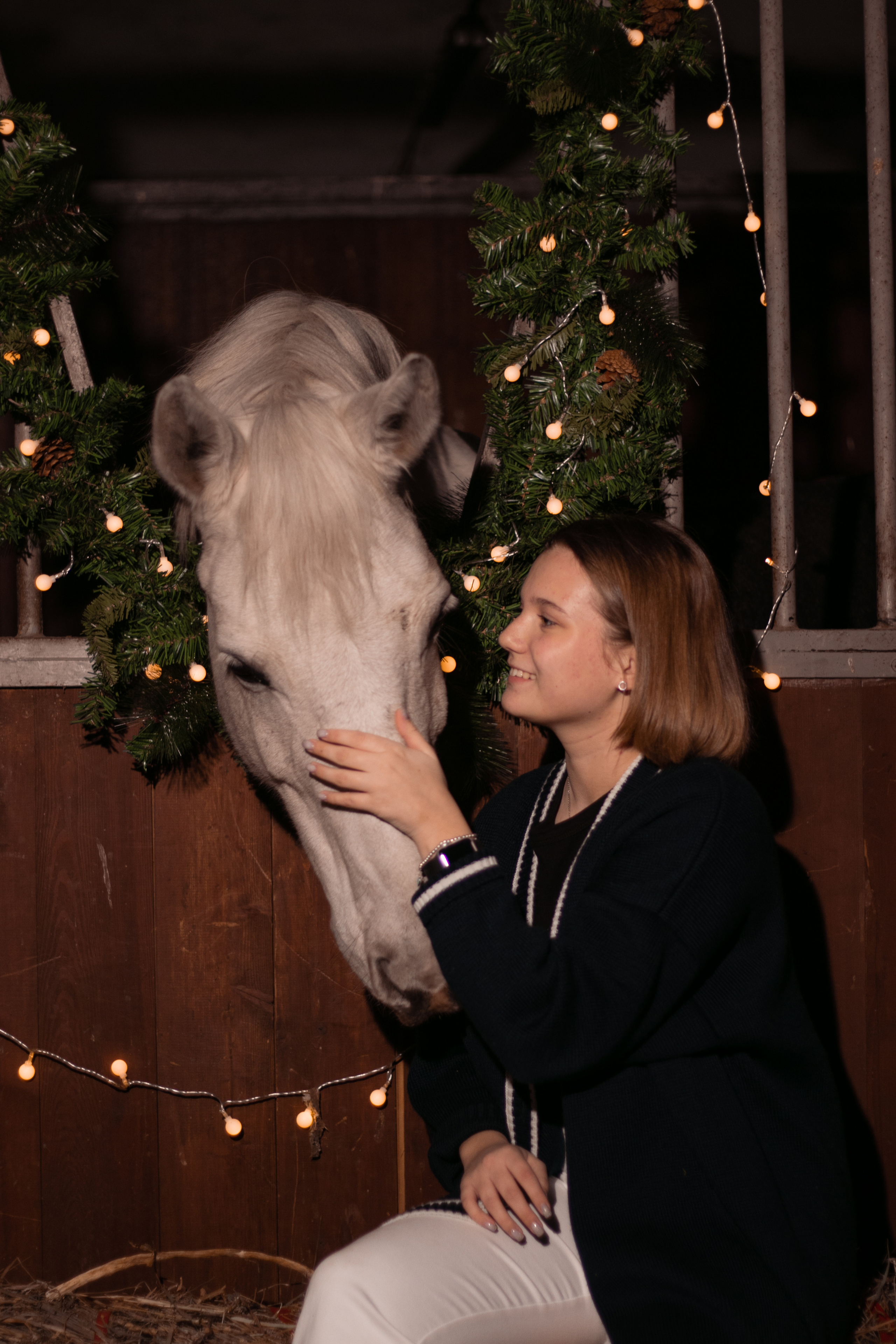 Новогодний Фотодень 2022. Фотосессии с лошадьми в Москве, Новосибирске