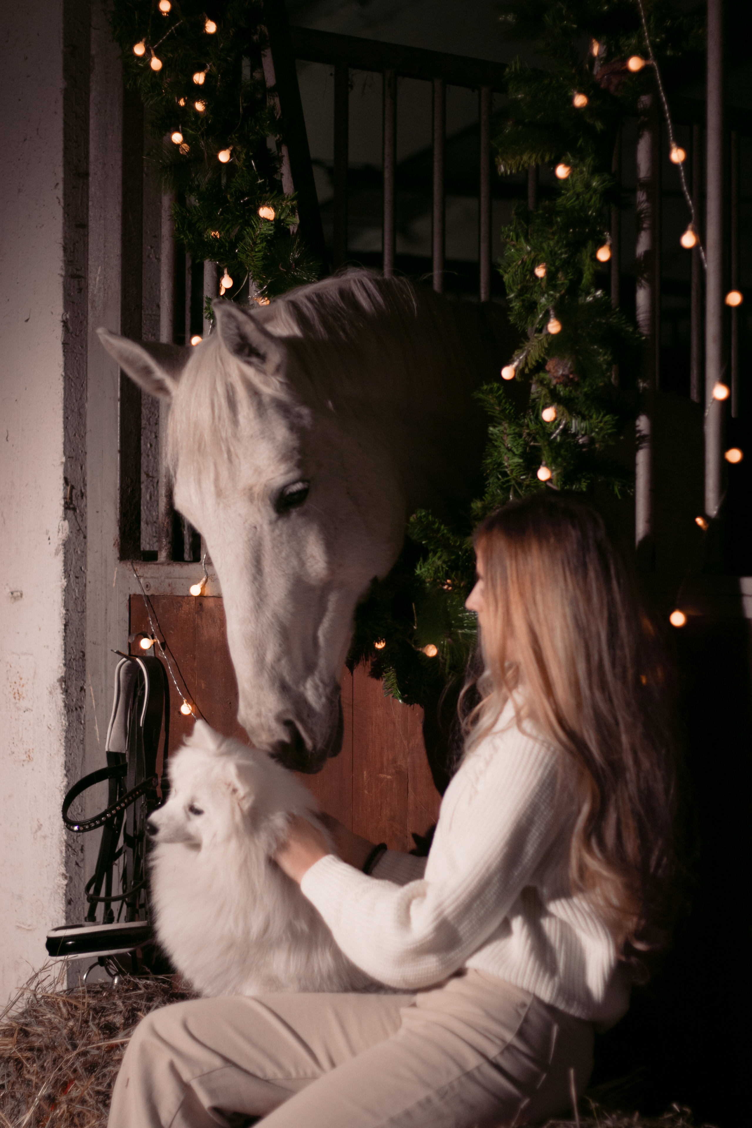 Новогодний Фотодень 2022. Фотосессии с лошадьми в Москве, Новосибирске