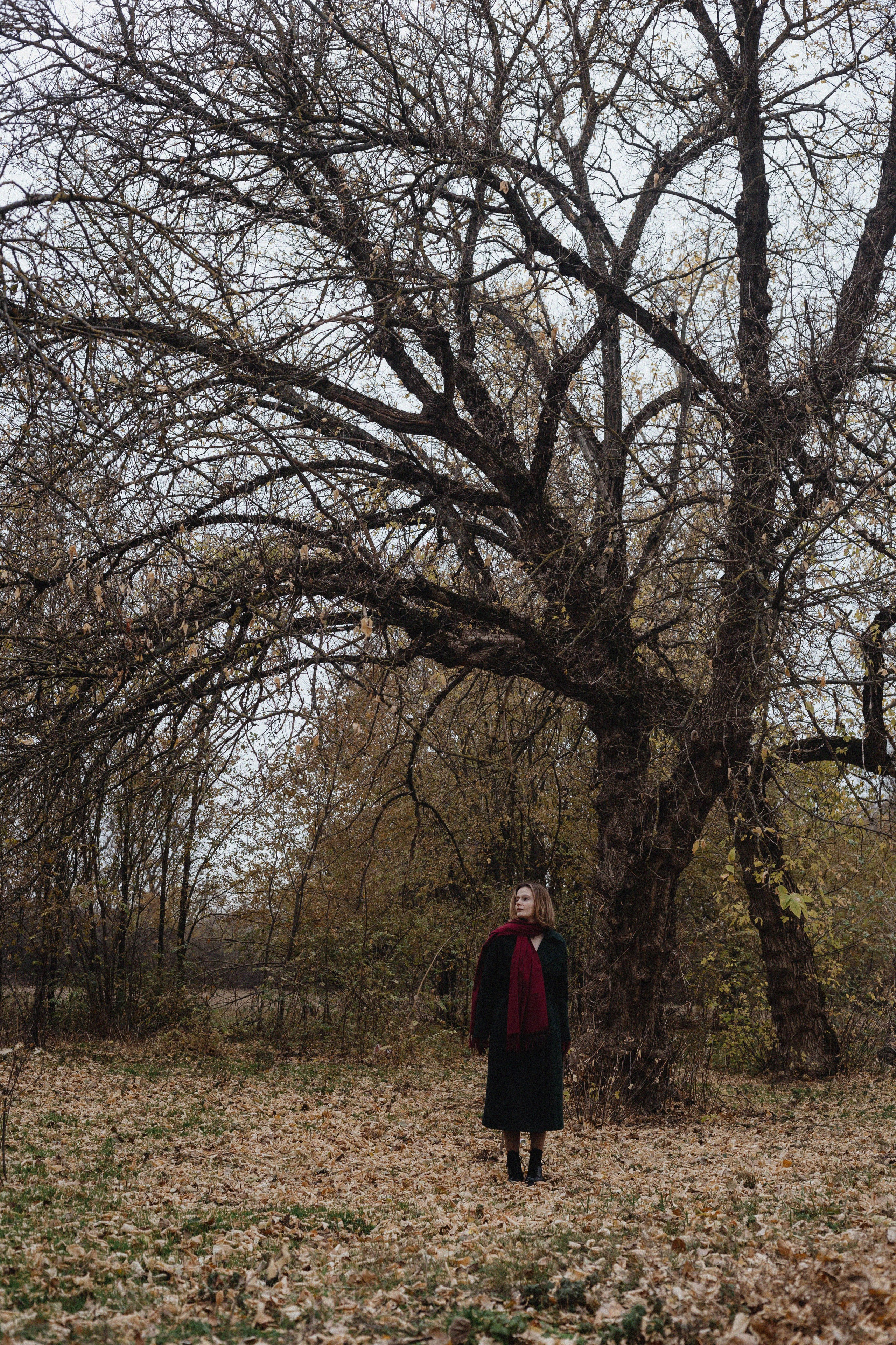 Однажды в сказке. Екатерина. Фотограф в Ростове-на-Дону и Краснодаре Елизавета Киселёва