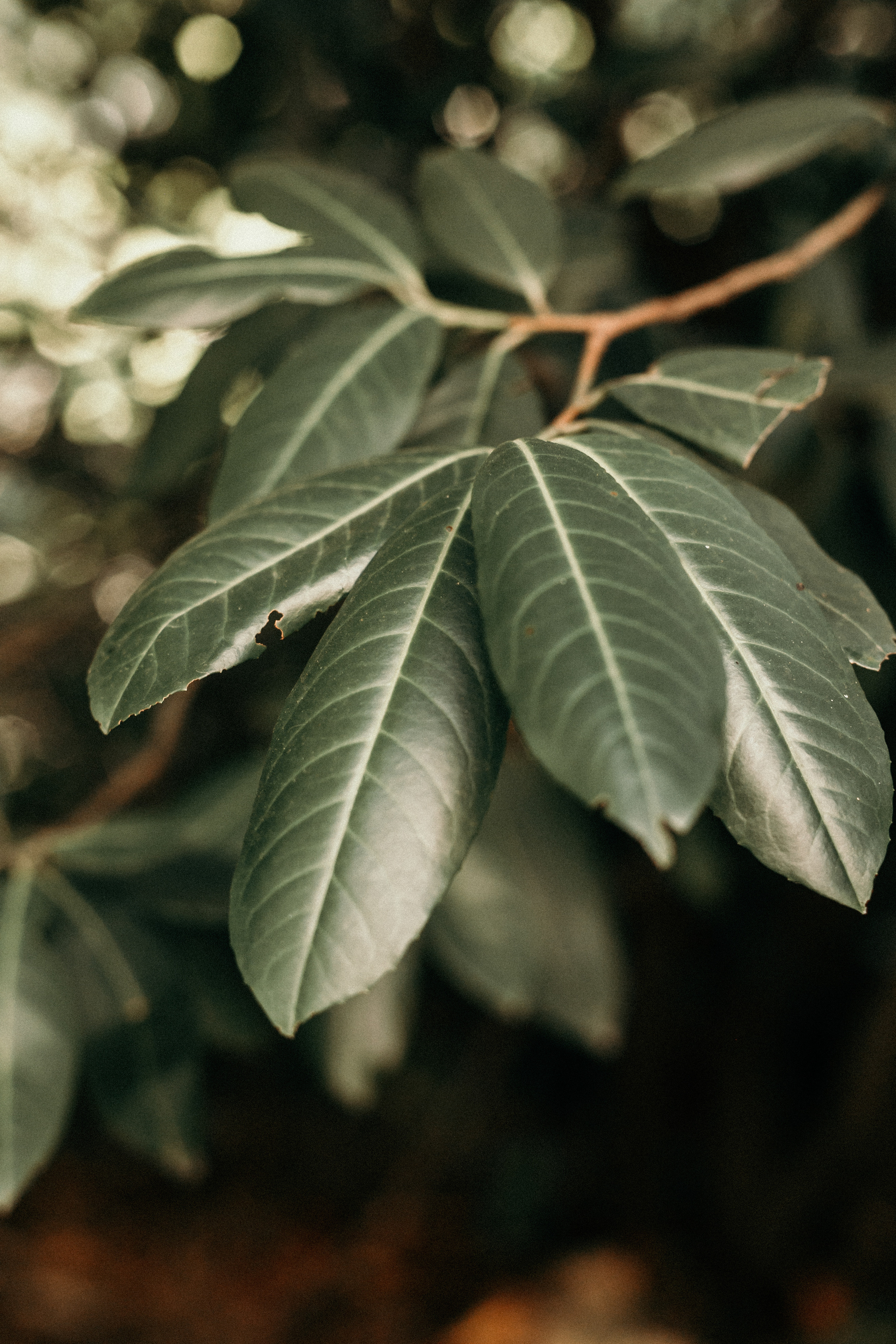 Artem & Alina 28/08/2020. Свадебный фотограф Денис Бабушкин