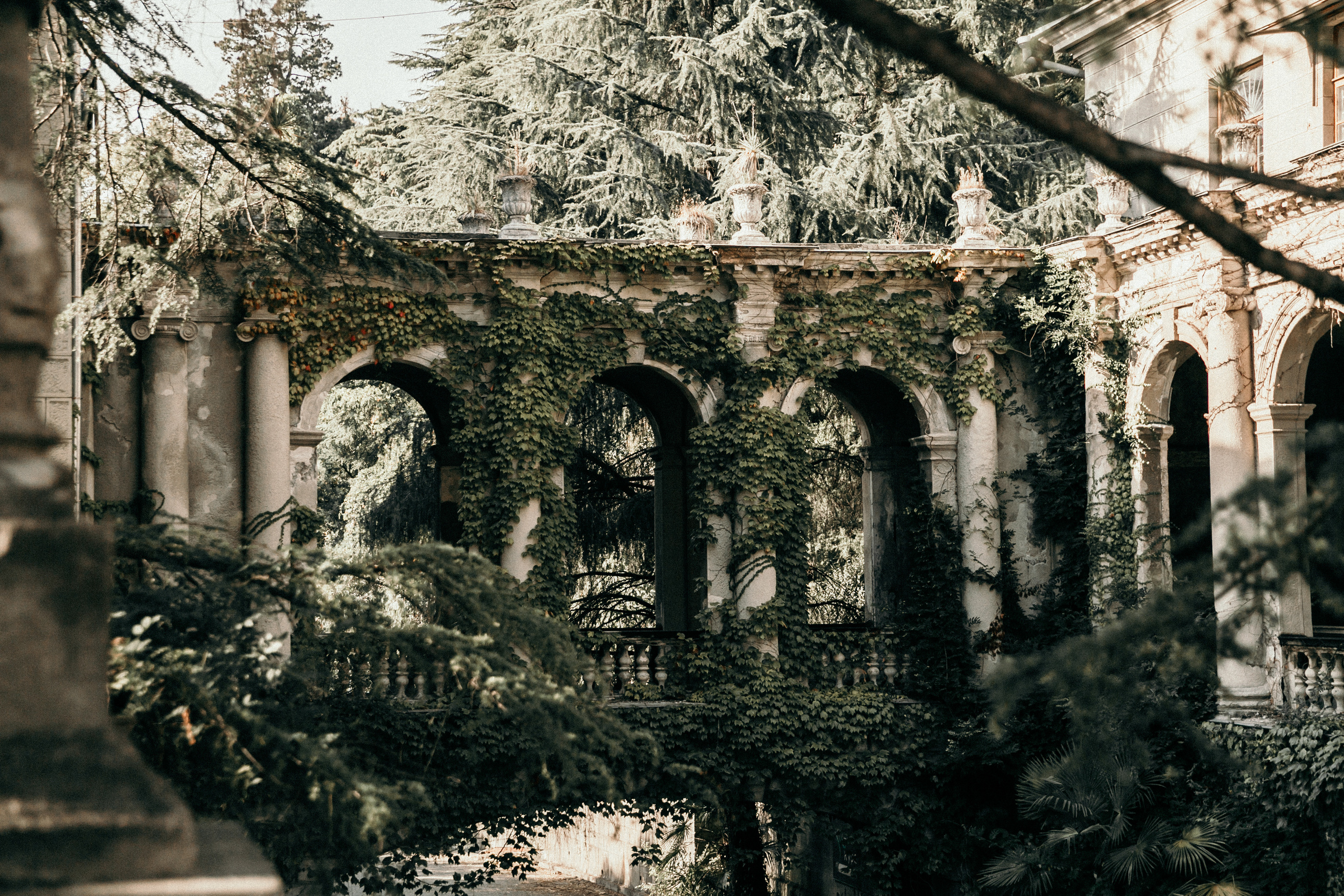 Artem & Alina 28/08/2020. Свадебный фотограф Денис Бабушкин