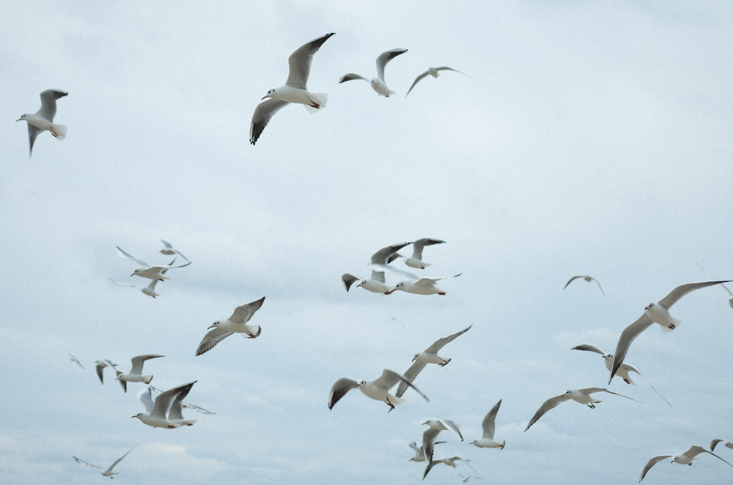 Пляж Светлогорска. Наталья Севрук — фотограф во Владимире