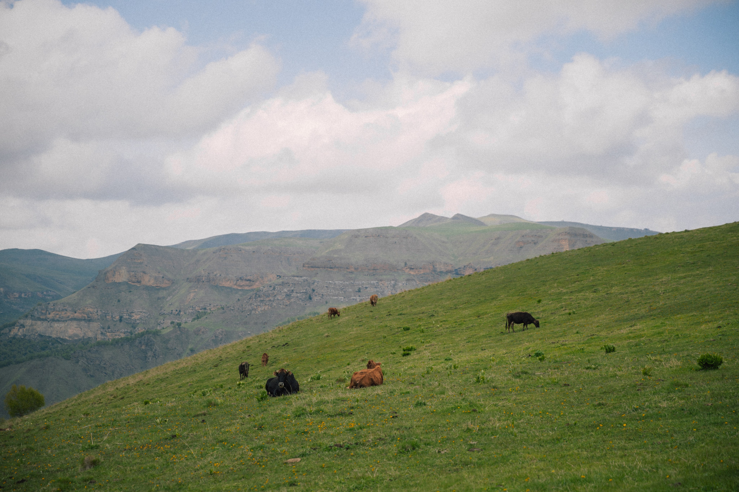 Ксюша и Никита. Фотограф Краснодар Юлия Бураченко Свадьбы Репортаж Семейные Индивидуальные съемки