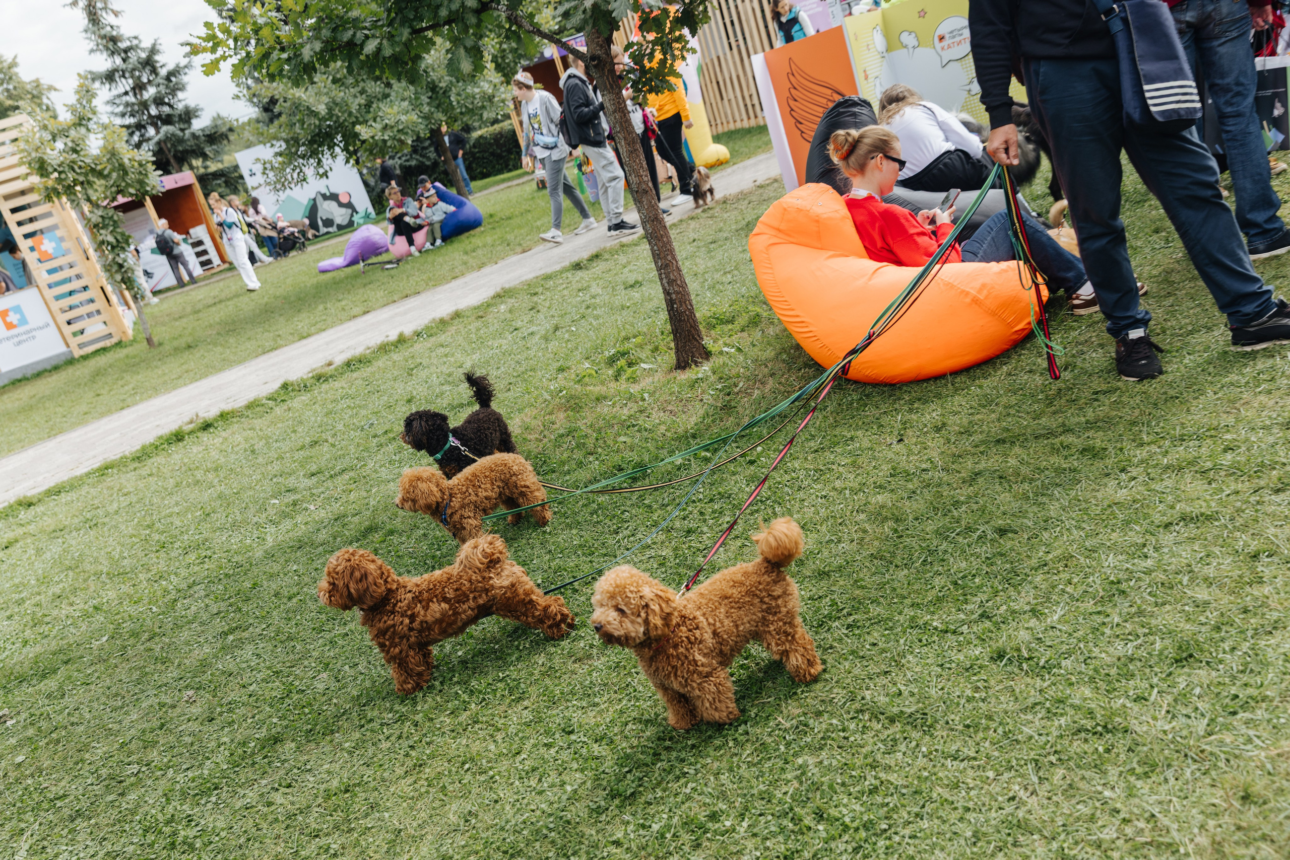 Хвостатый репортаж. Аксана Лисовская фотограф в Москве. Фотографии с характером