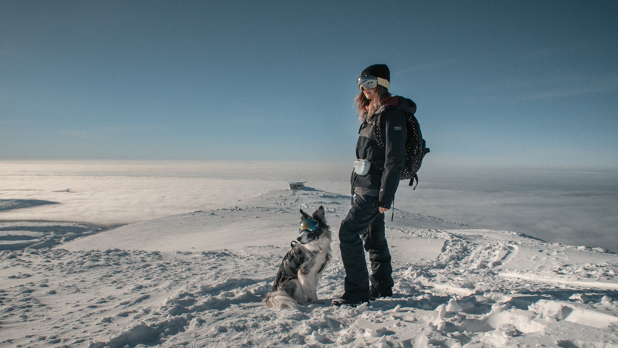 Хибины. Фотограф анималист Никита Натальный