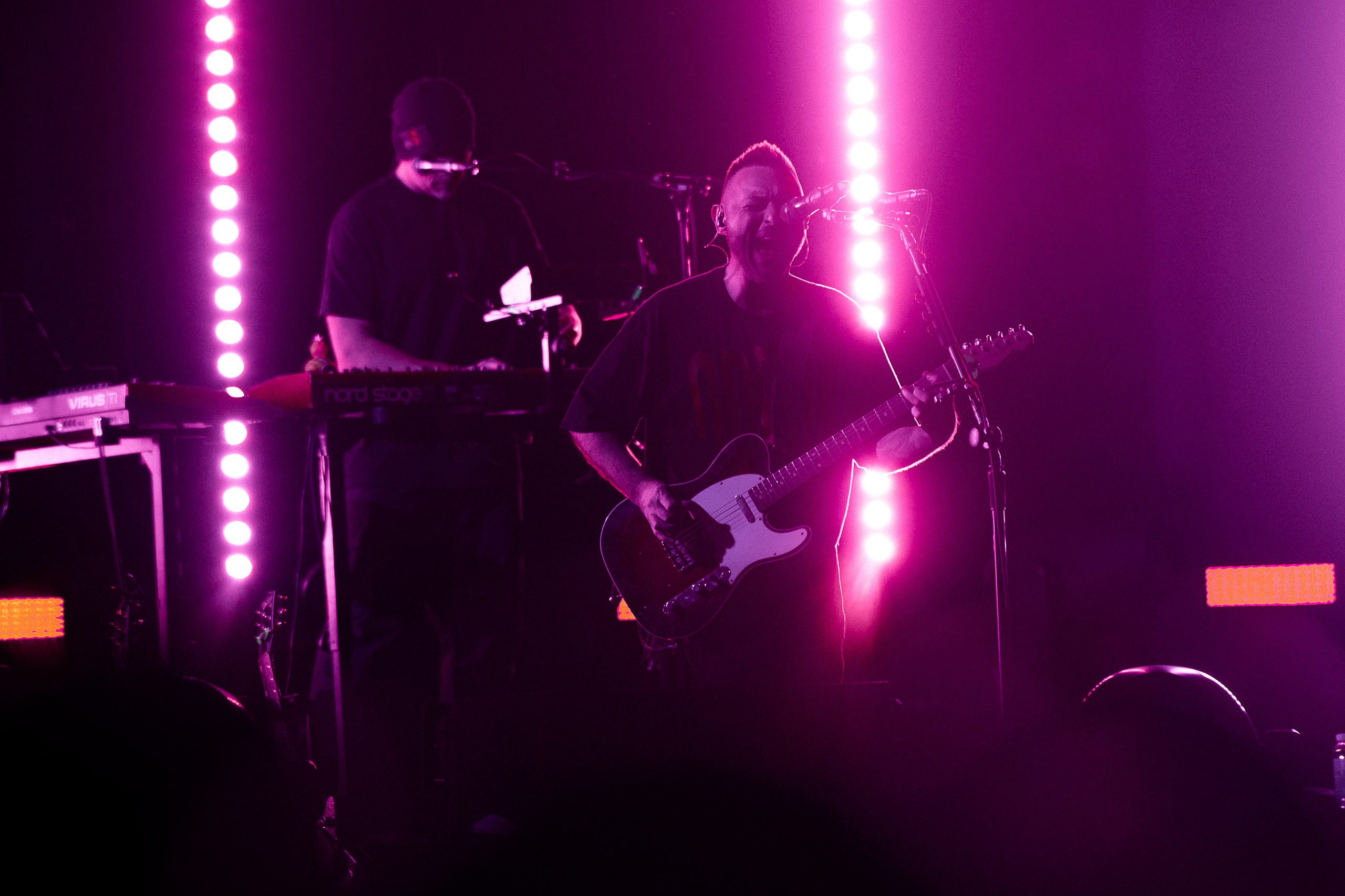 Звери 2025. Репортажный фотограф в Кемерово