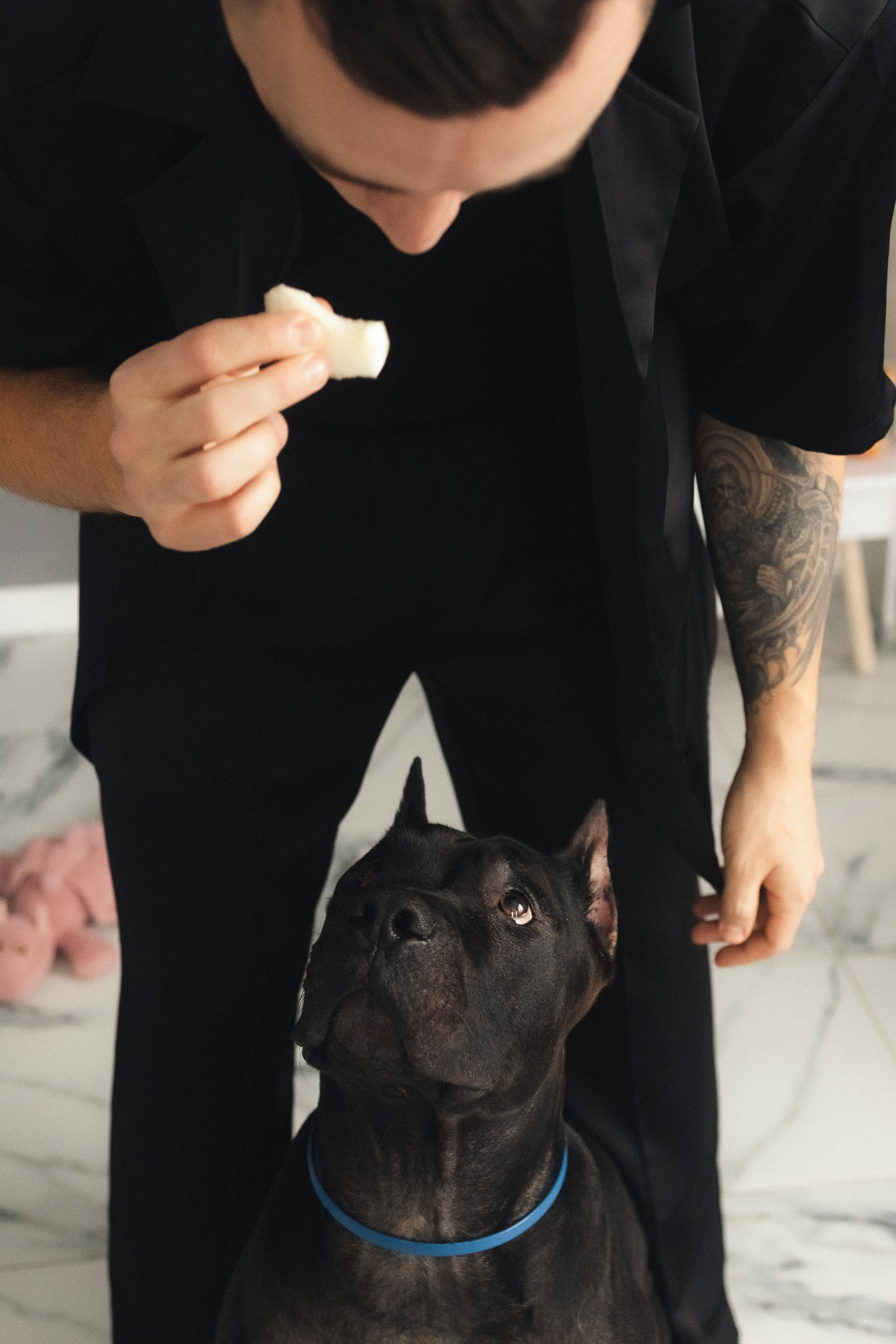 Дома. Фотограф из Петербурга