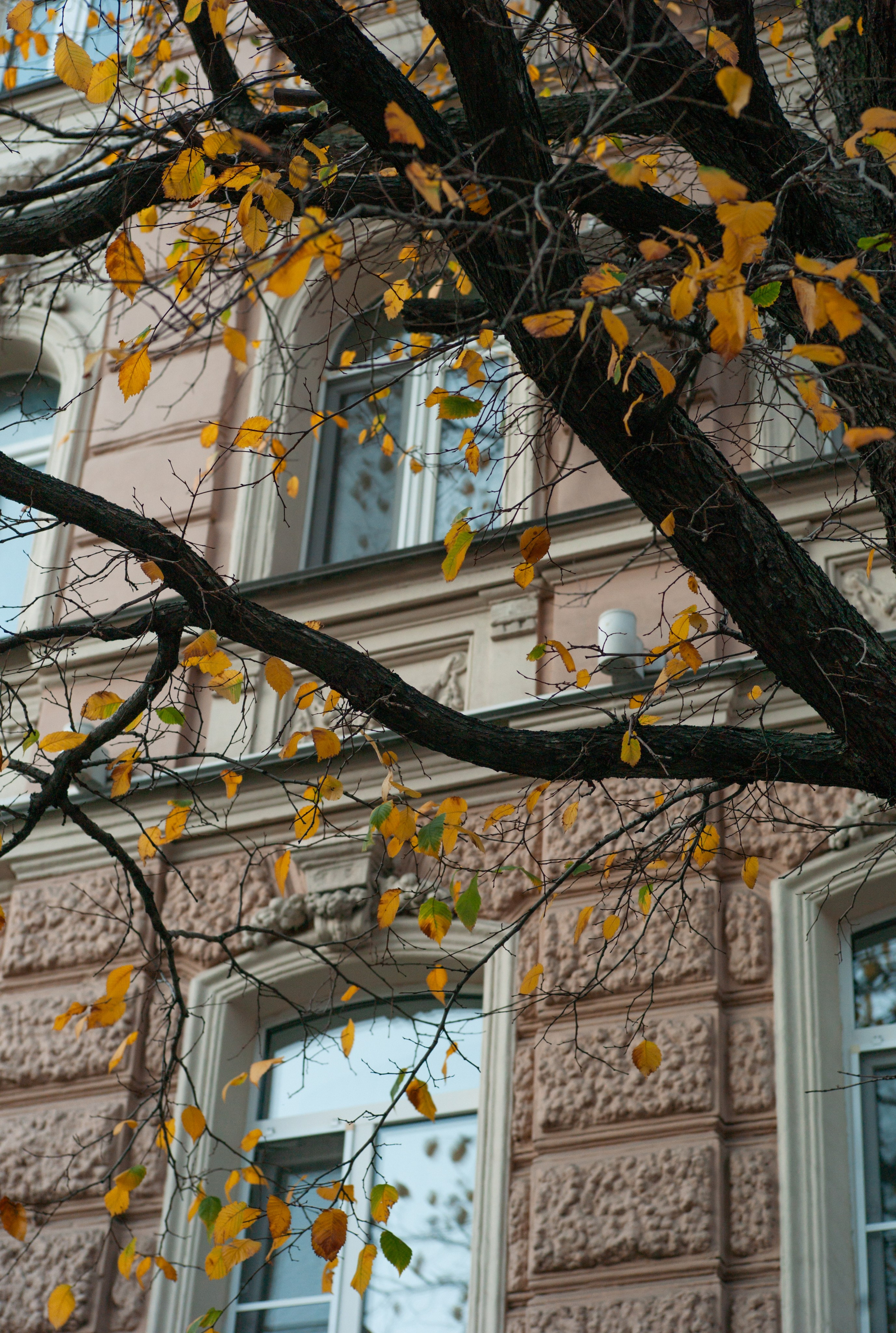 URBAN. Фотограф Ольга Орляцкая