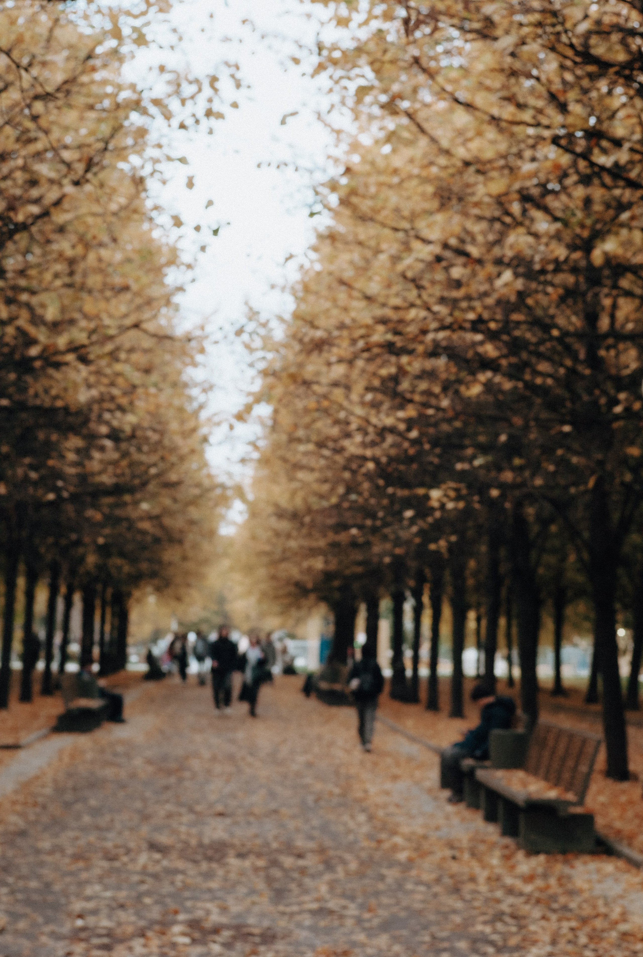 URBAN. Фотограф Ольга Орляцкая