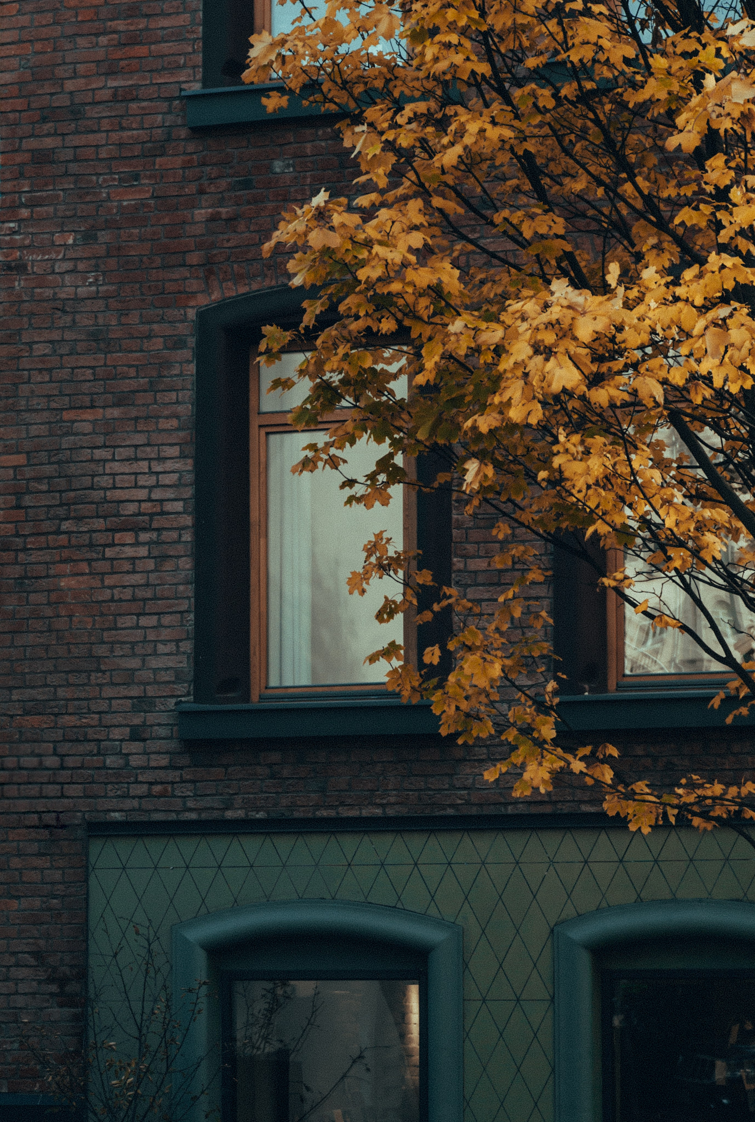URBAN. Фотограф Ольга Орляцкая