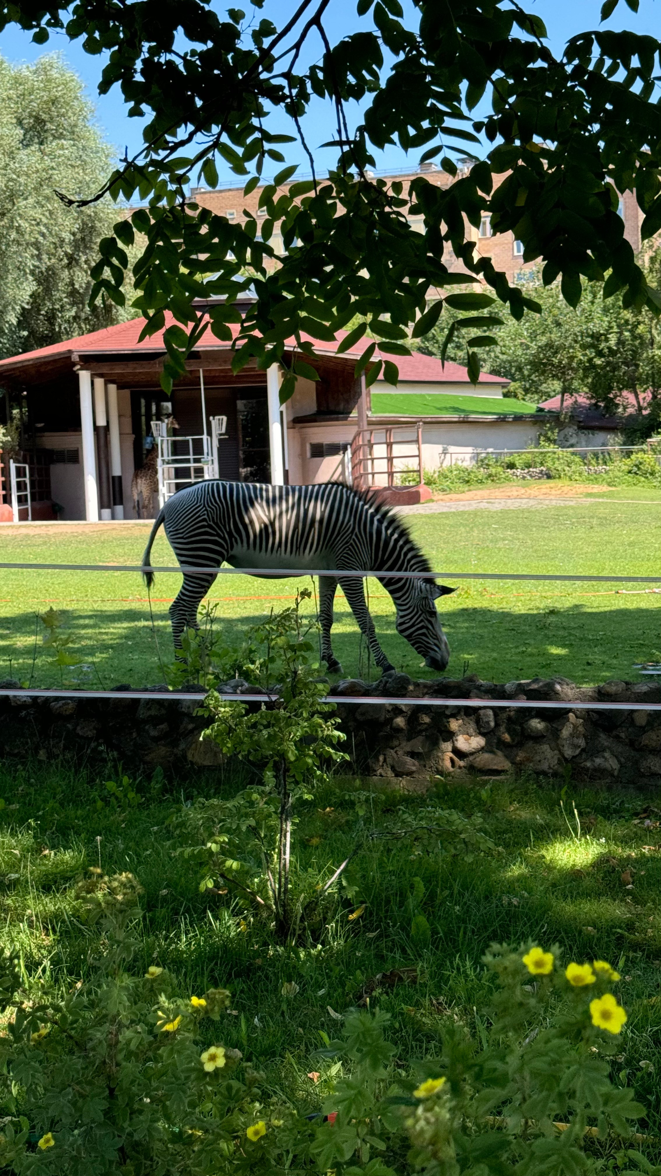 Приглашаем в арт-лагерь в Москве для детей!. Арт-вечеринки и мастер-классы в Москве для взрослых и детей