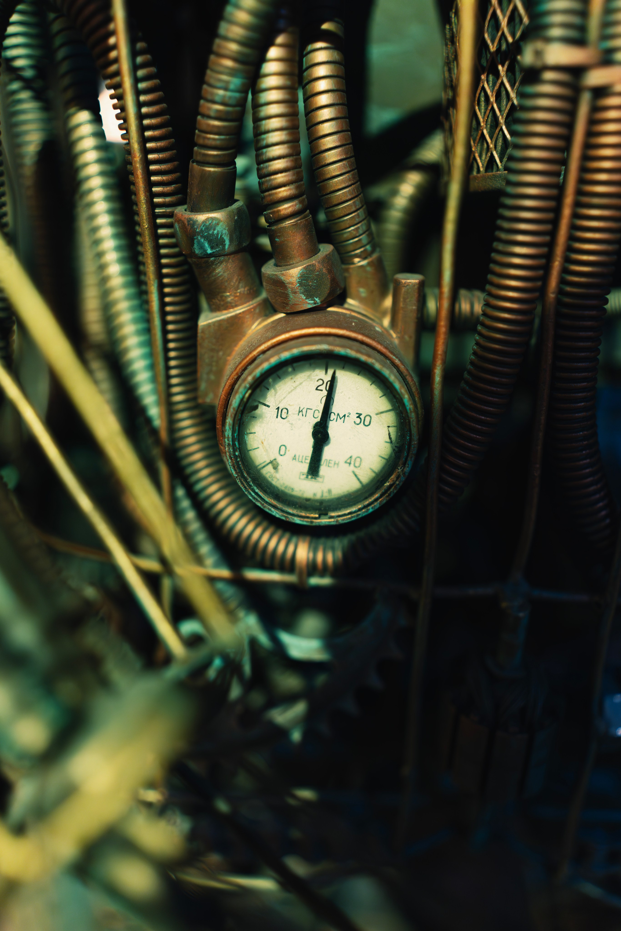 Небылица. Баев Дмитрий — фотограф из СПБ