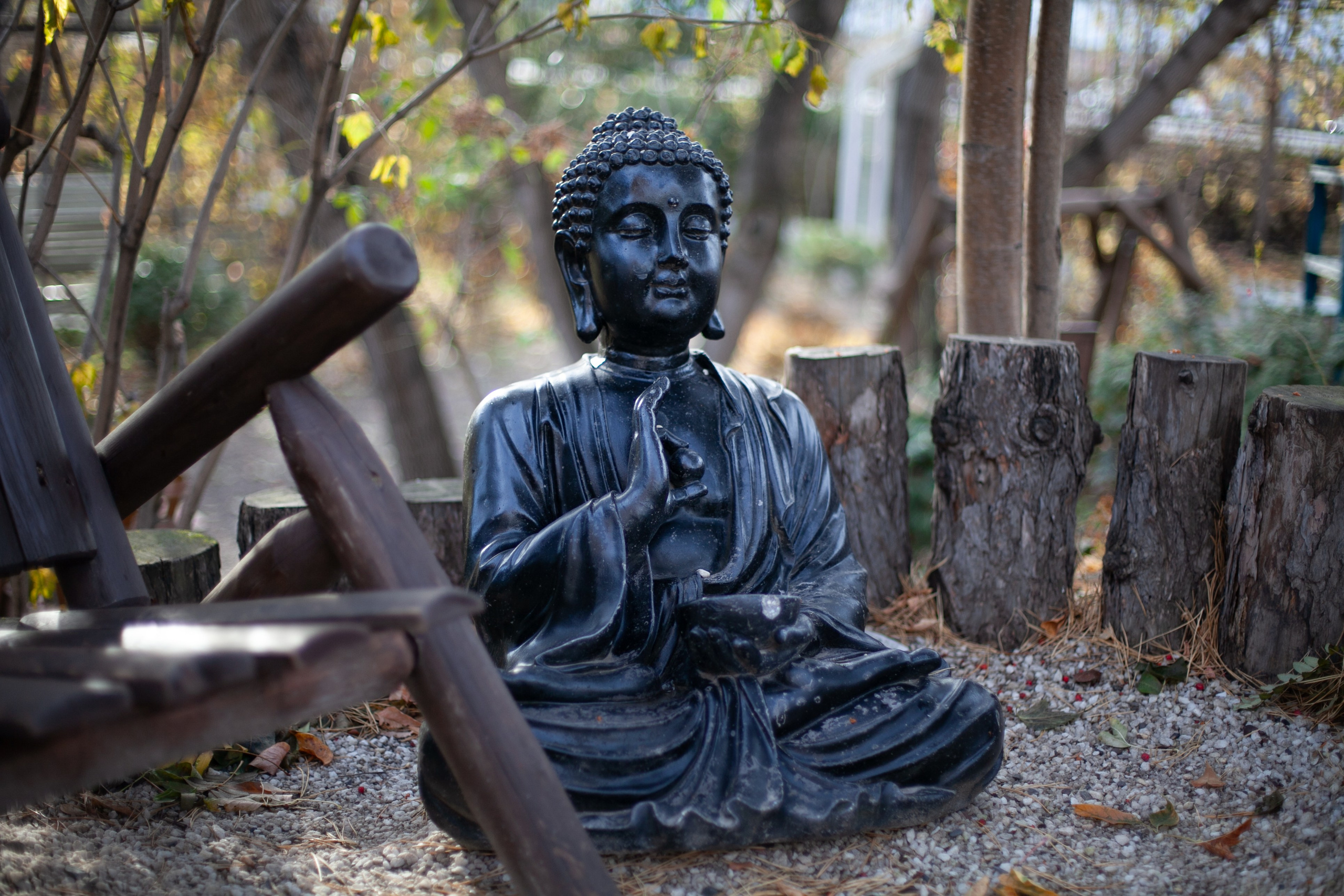 Сады Мечты. Контент для сайта. Фотограф Дарья Локотко в Красноярске