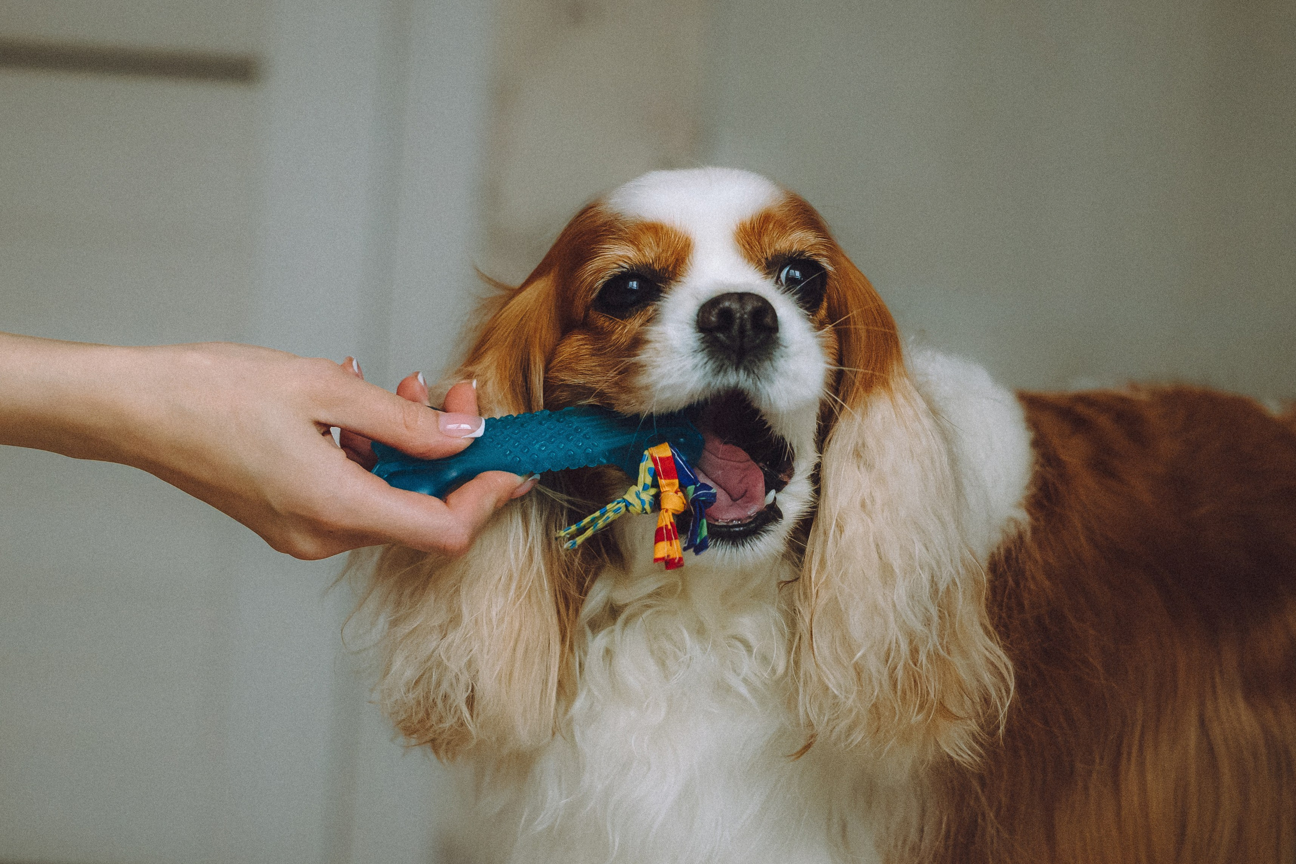 Наташа и Вики