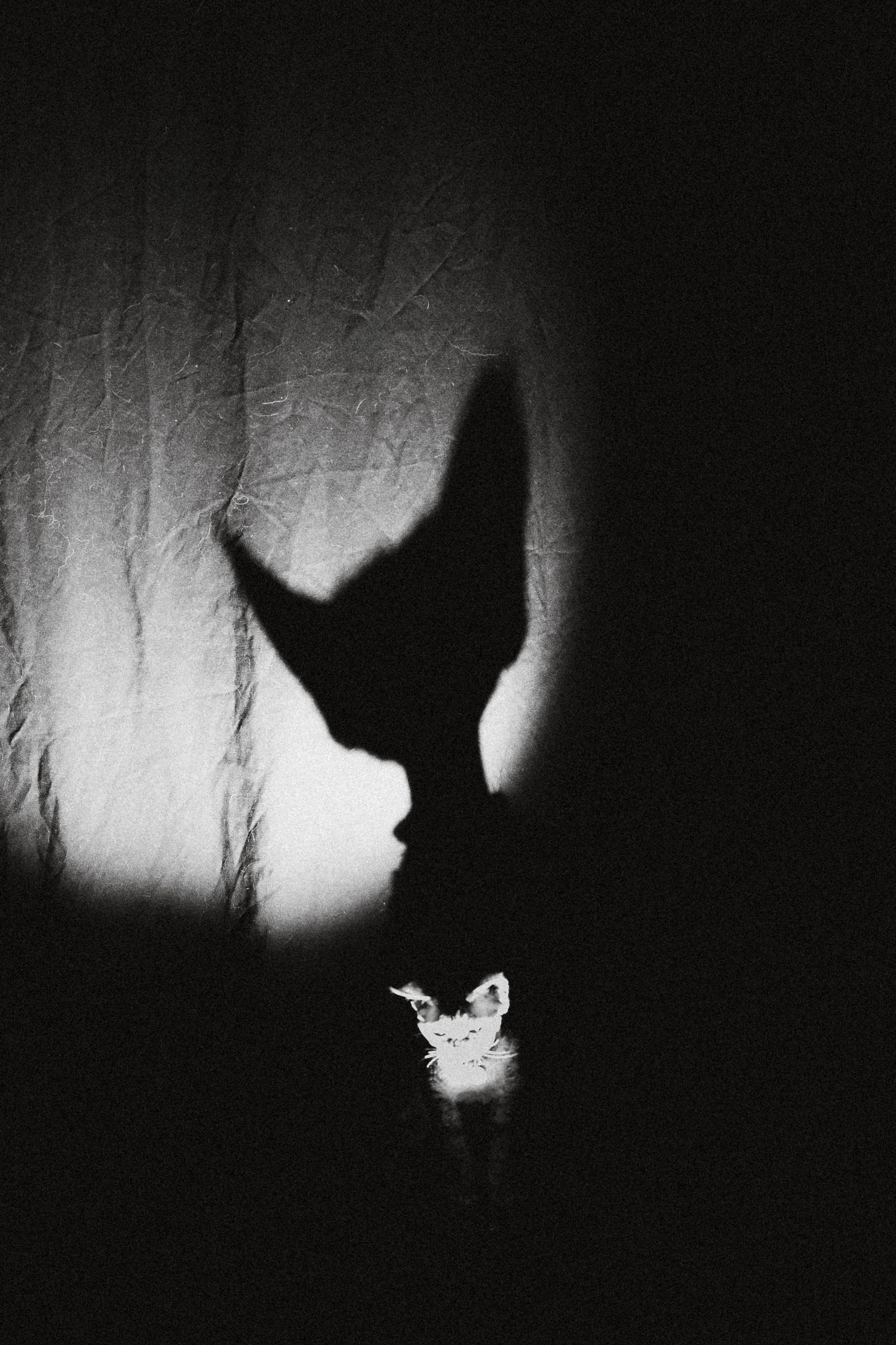 Гречка, Ковш и их семья