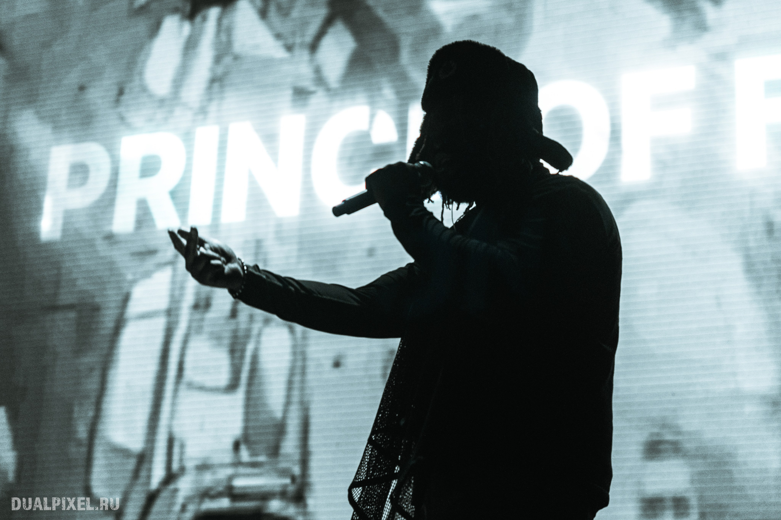 Prince Of Falls. Магия музыки в кадре: Концертная Фотография