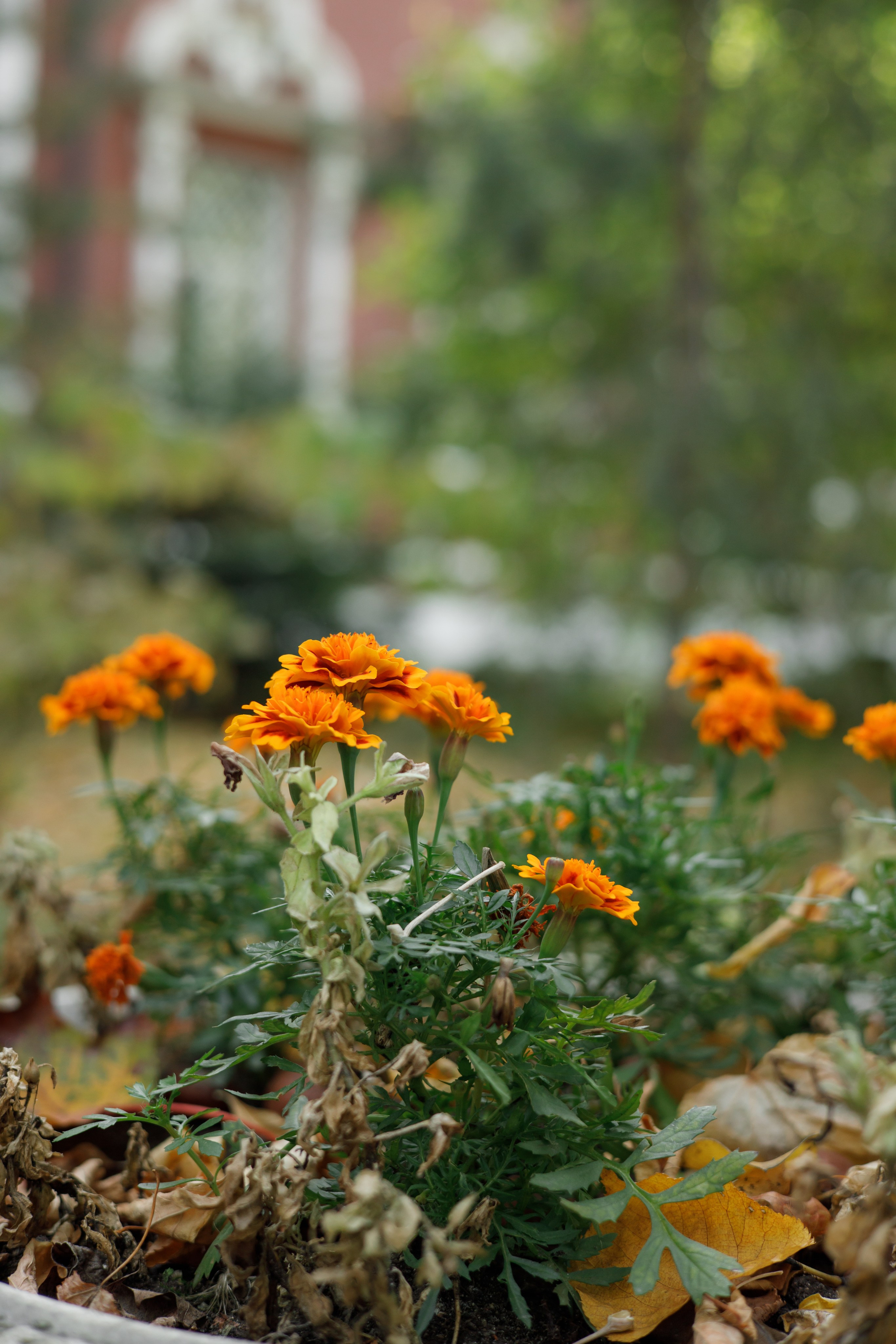 Венчание: Татьяна и Дмитрий. Свадебный и репортажный фотограф (Москва, Королев и другие)