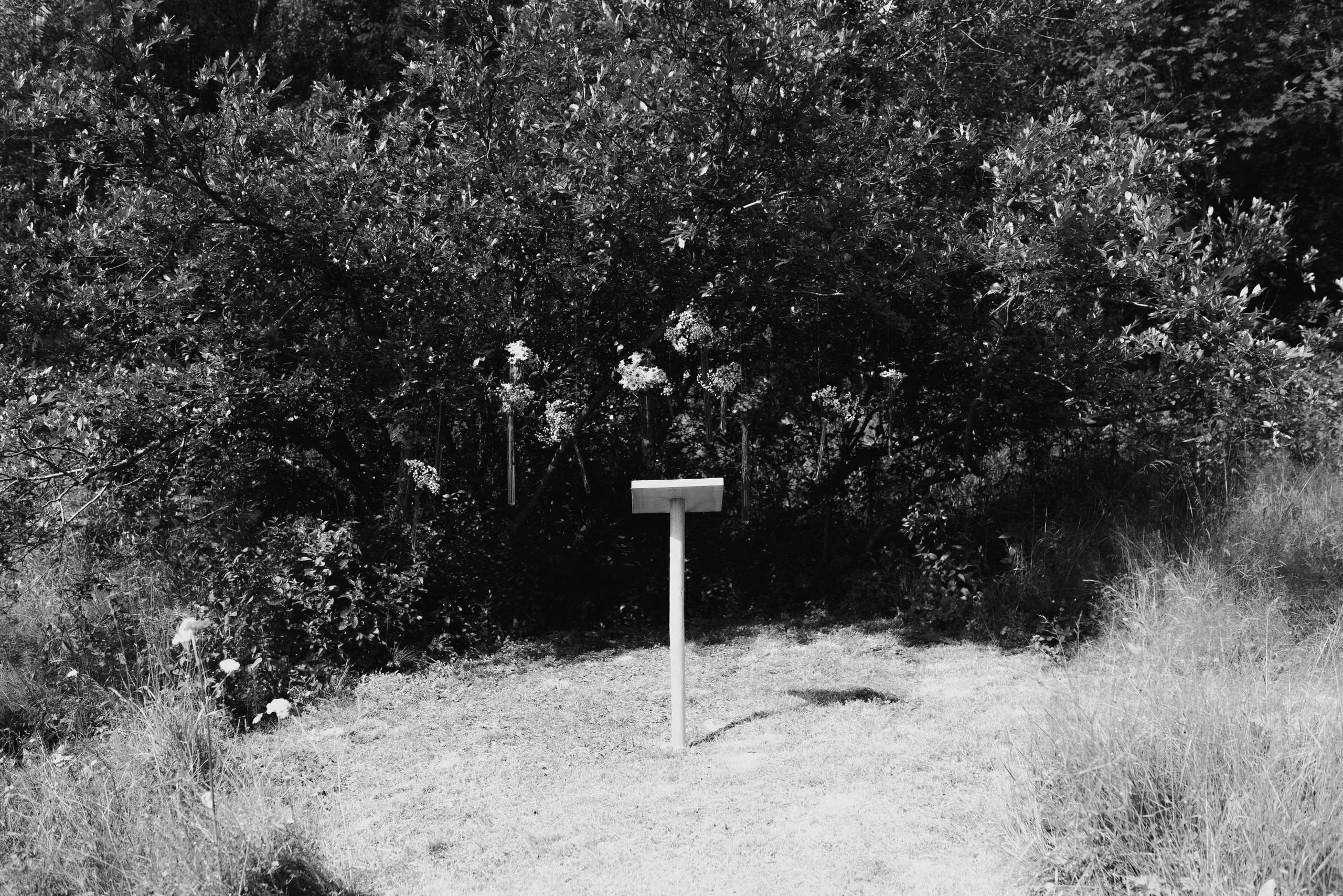 Vilje — Amalie. Elopement Wedding Photographer