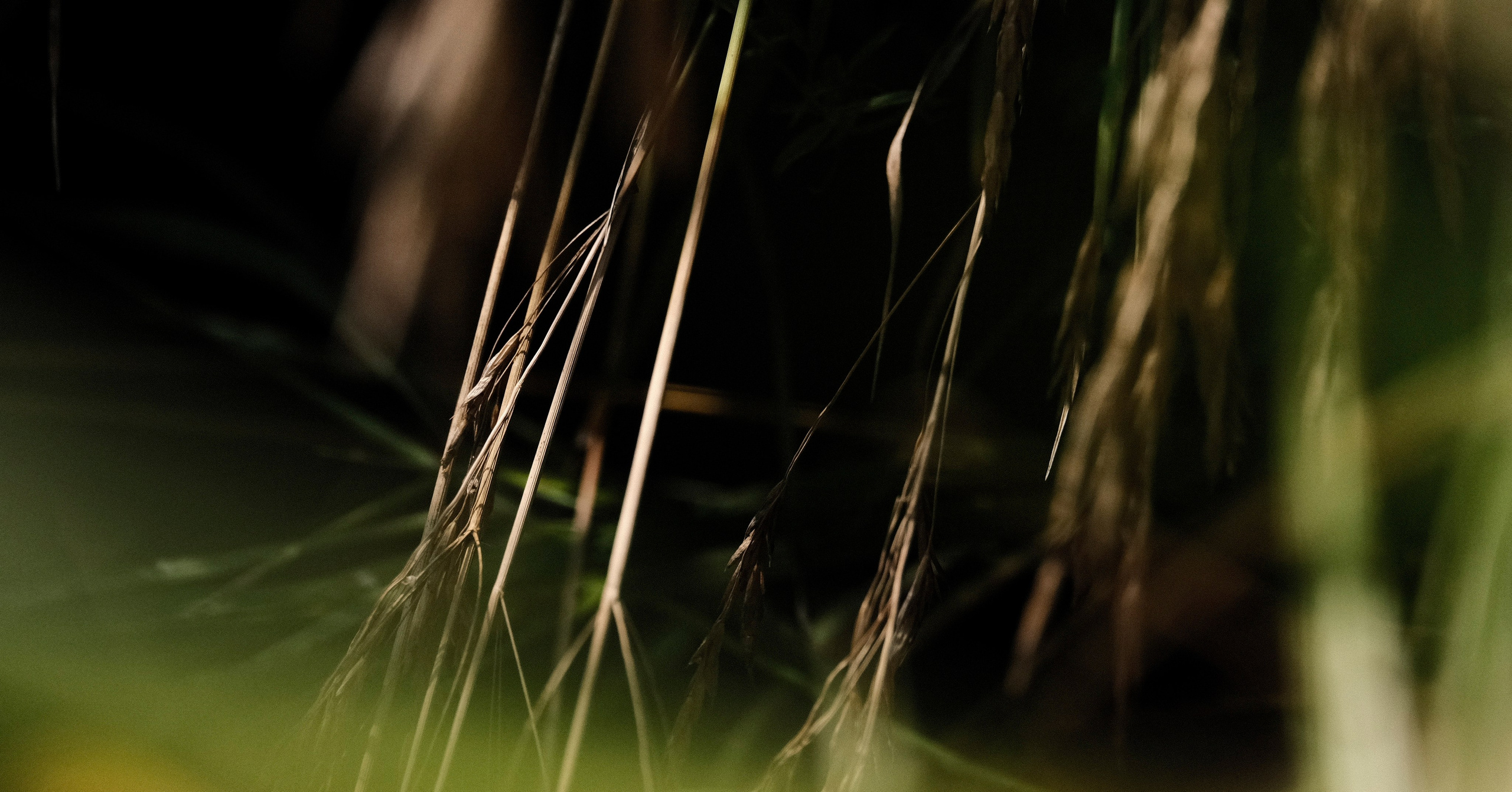 Фотограф-любитель из Кирова Андрей Погребняк