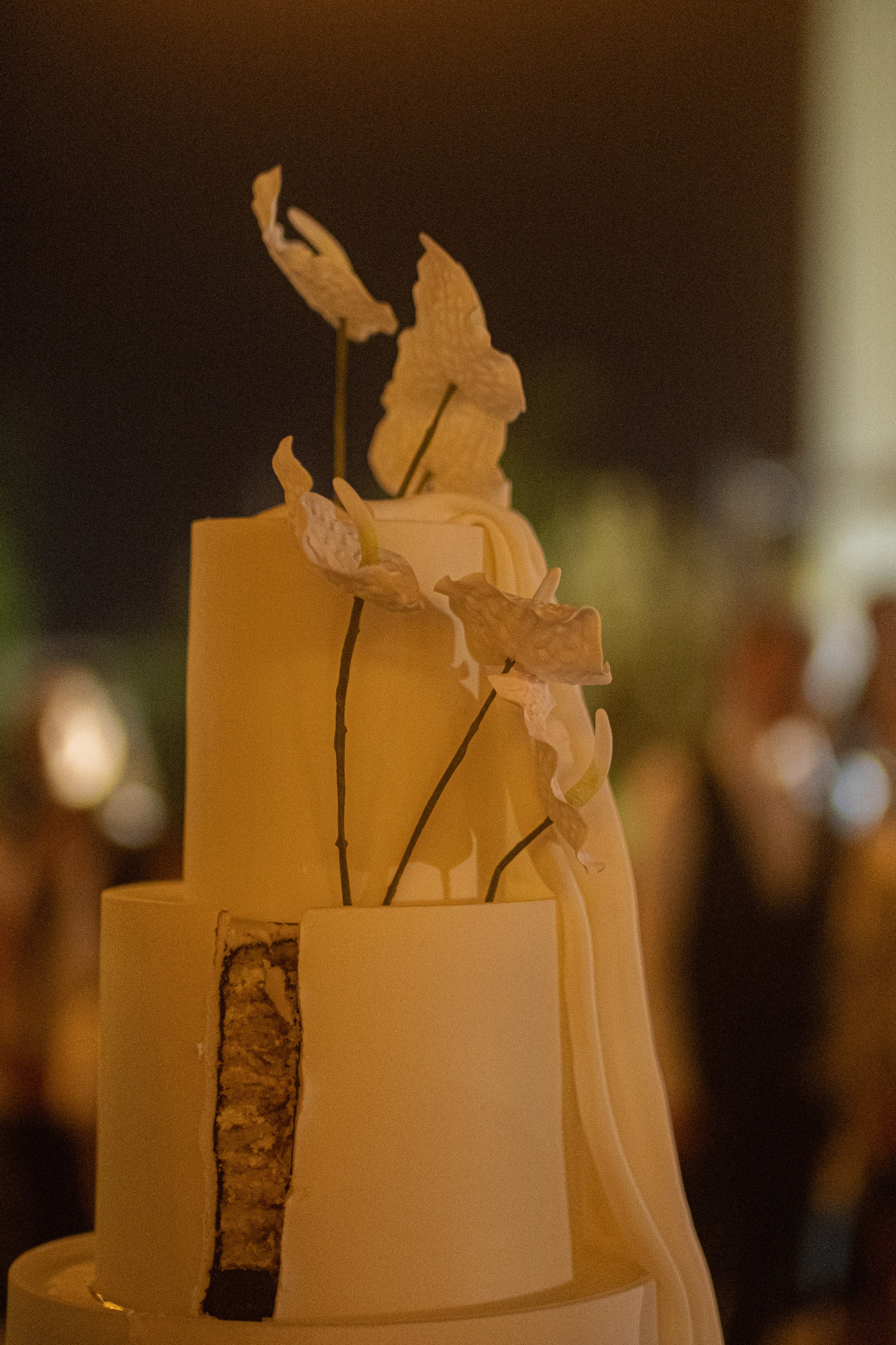 Abkhazia: Lola&Kemal. Сентиментальная свадебная фотография